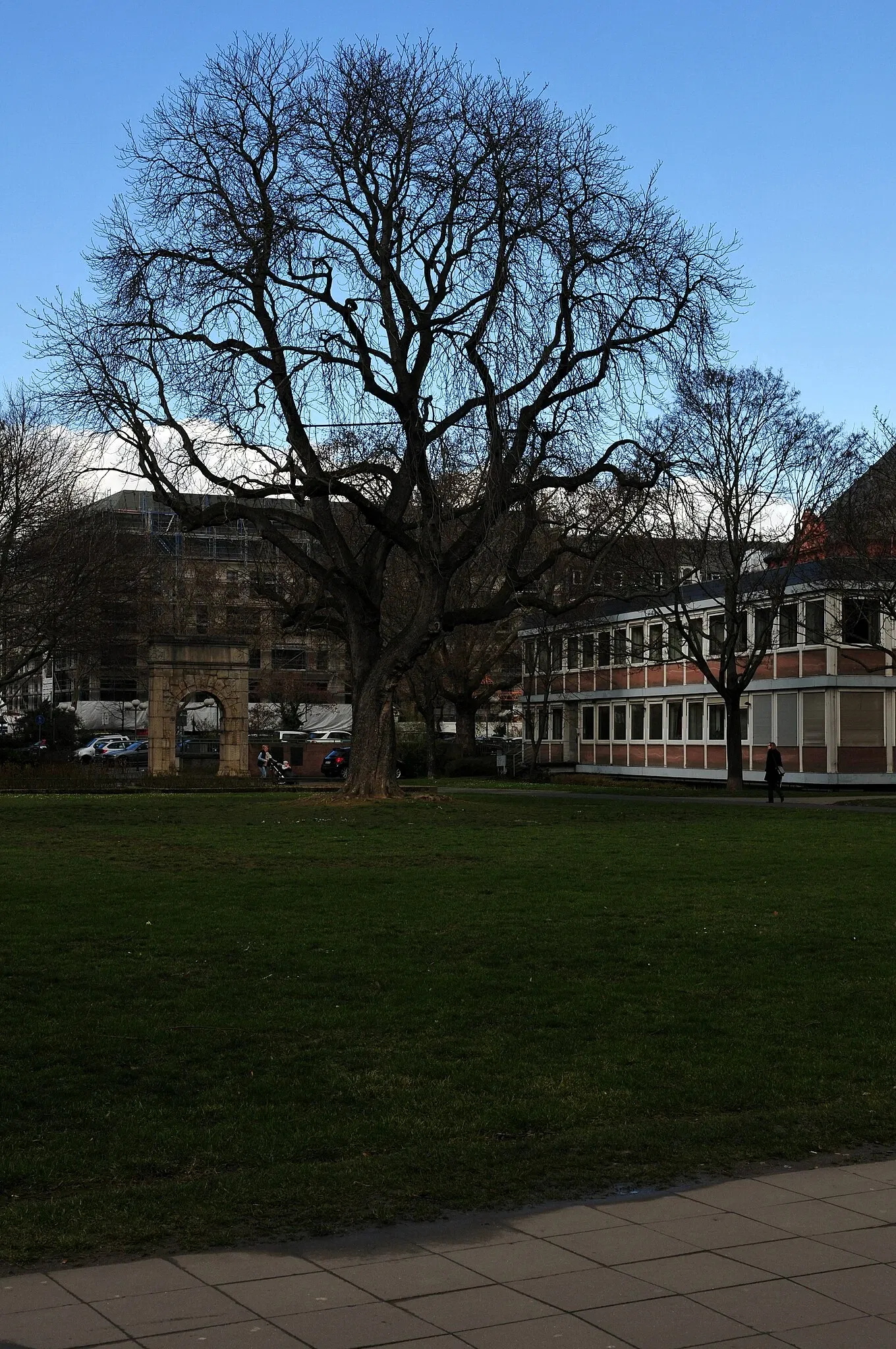 Leibniz Research Institute for Archaeology