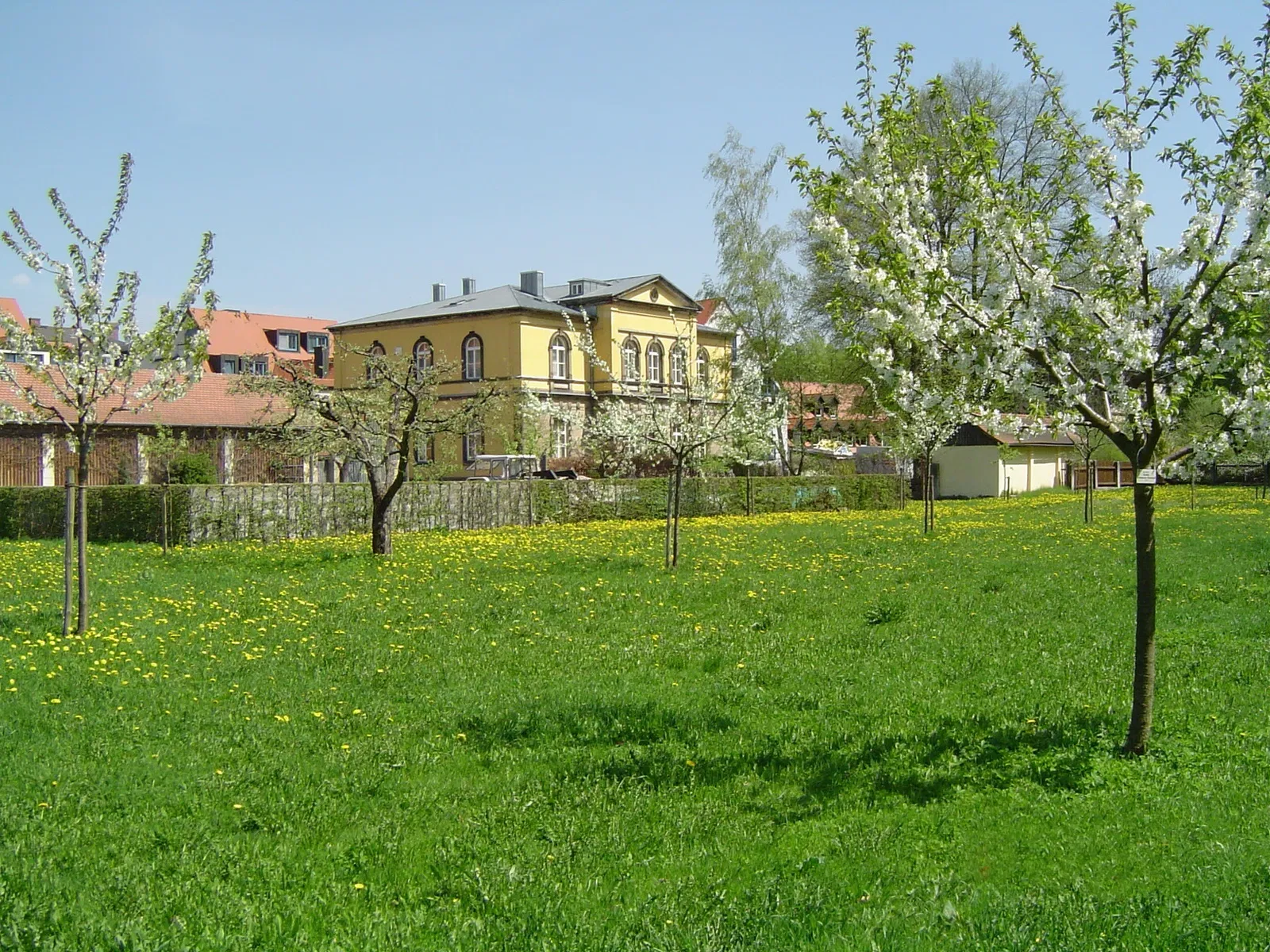Deutsches Freimaurermuseum e.V.