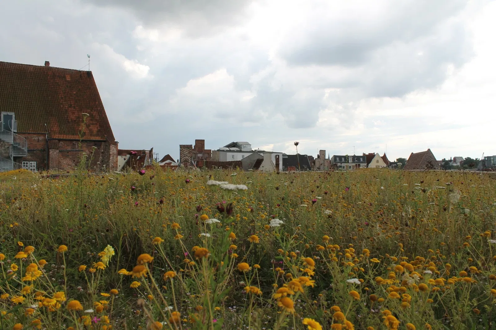 Europäisches Hansemuseum