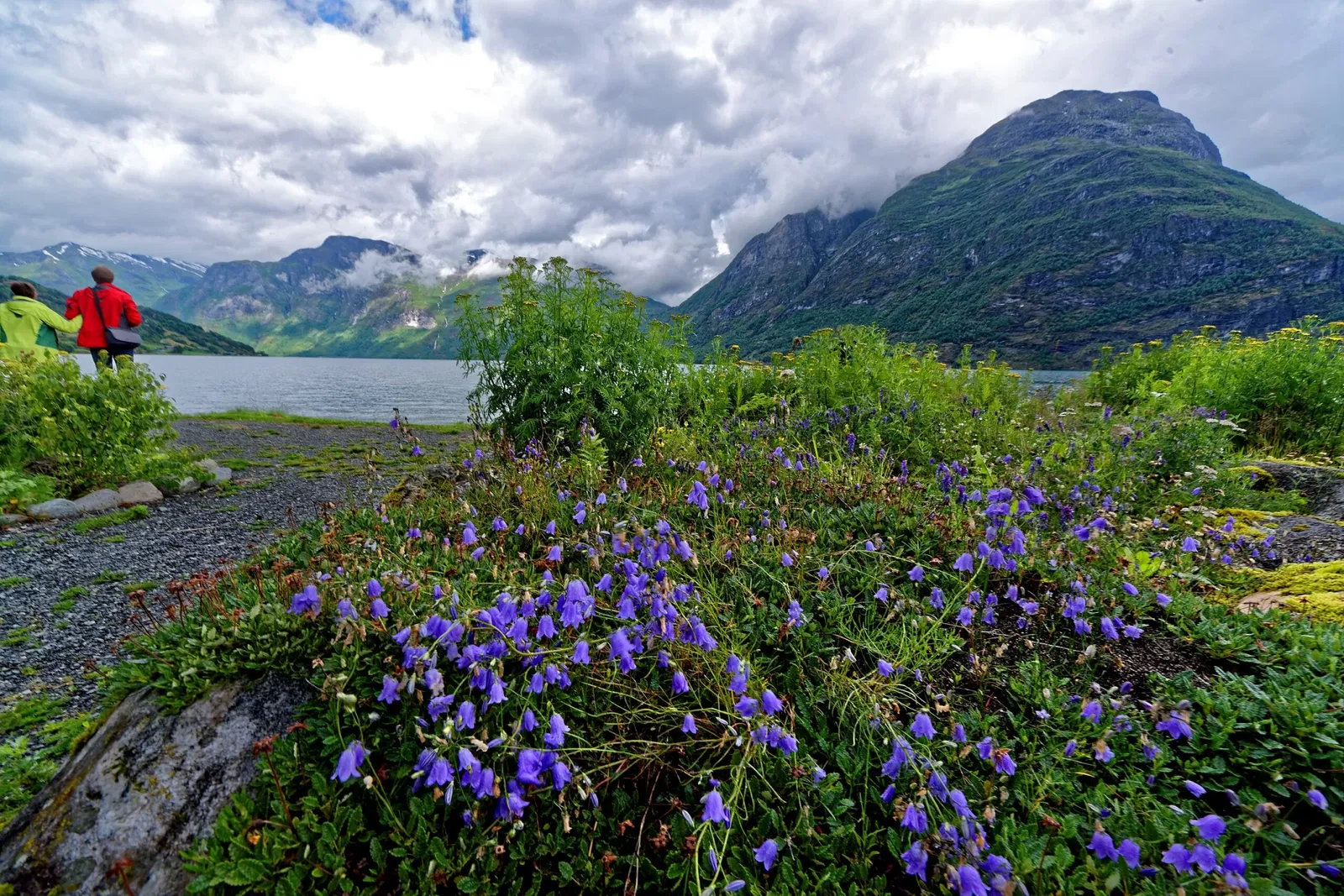 Jostedalsbreen National Park Centre