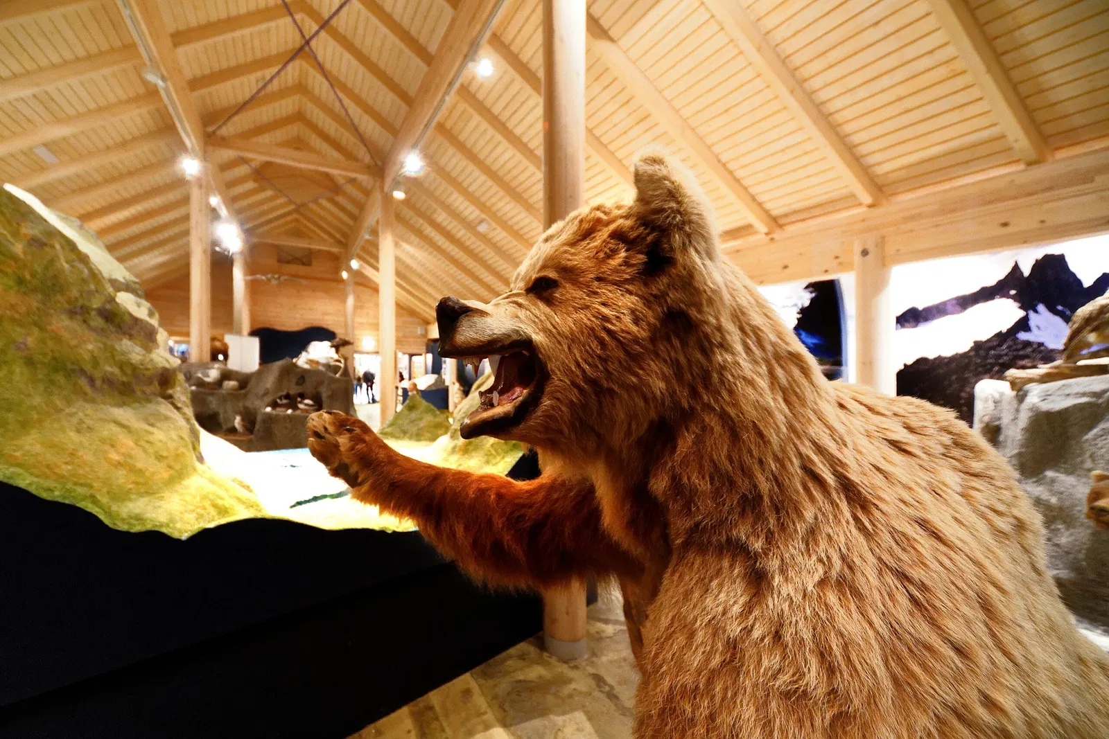 Jostedalsbreen National Park Centre