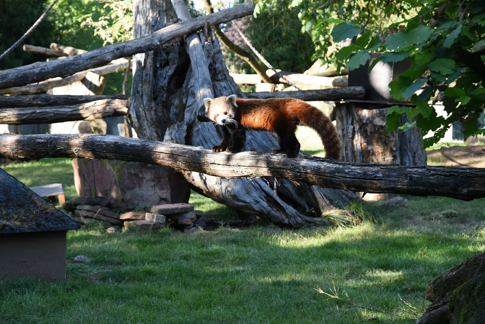 Heidelberg Zoo