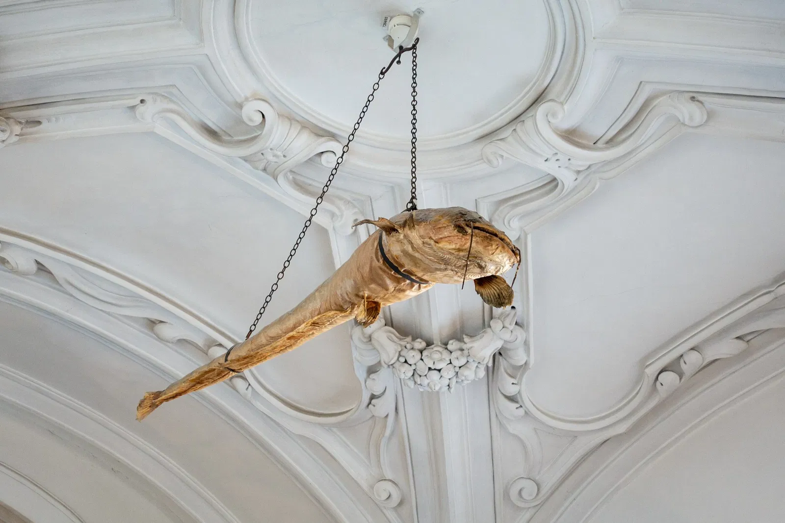 DomQuartier Salzburg