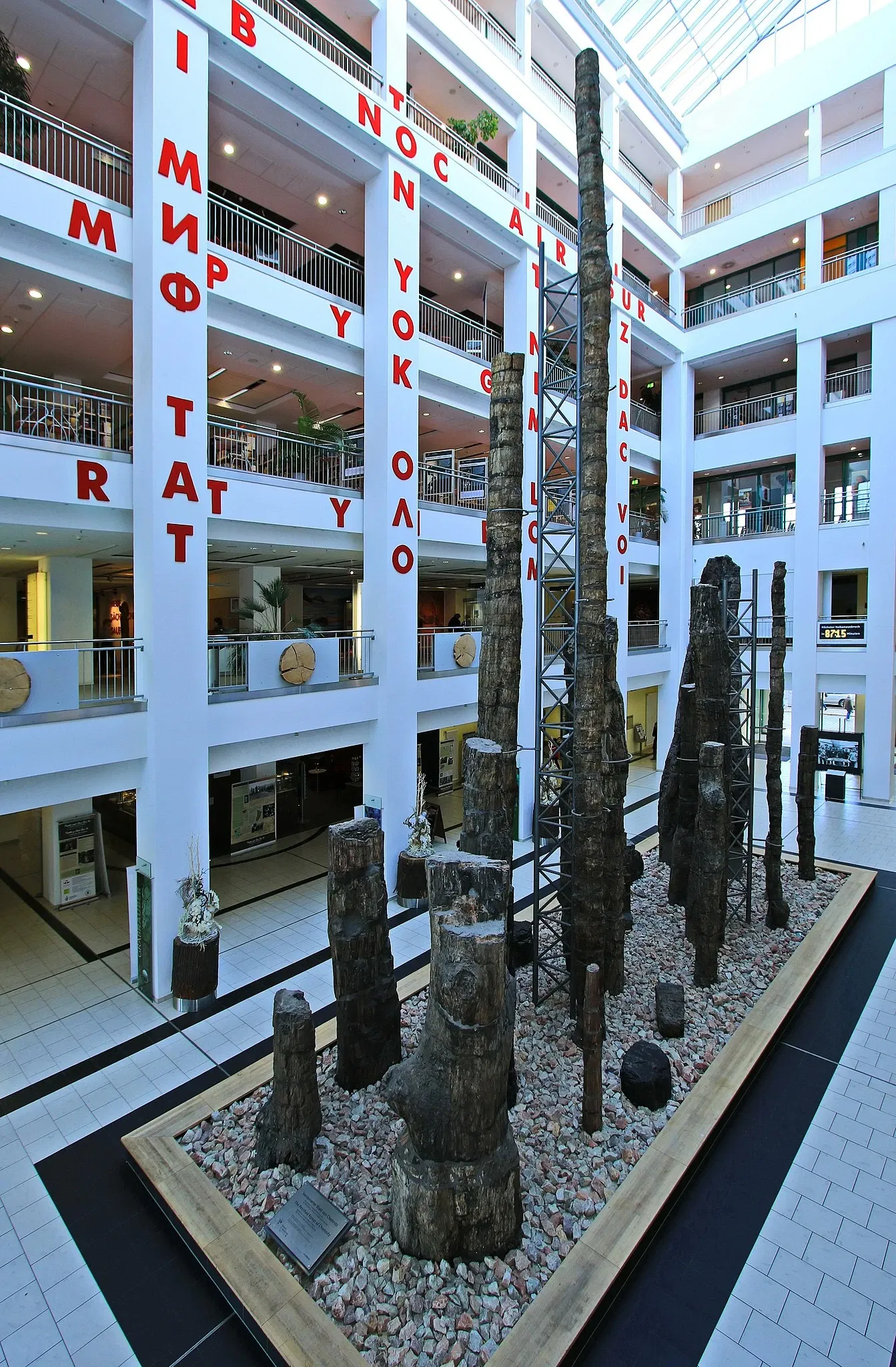 Museum für Naturkunde