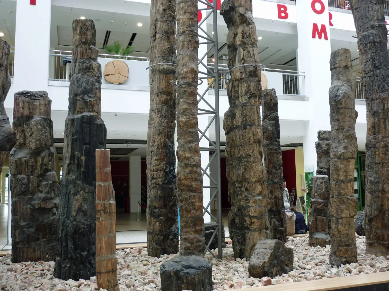 Museum für Naturkunde