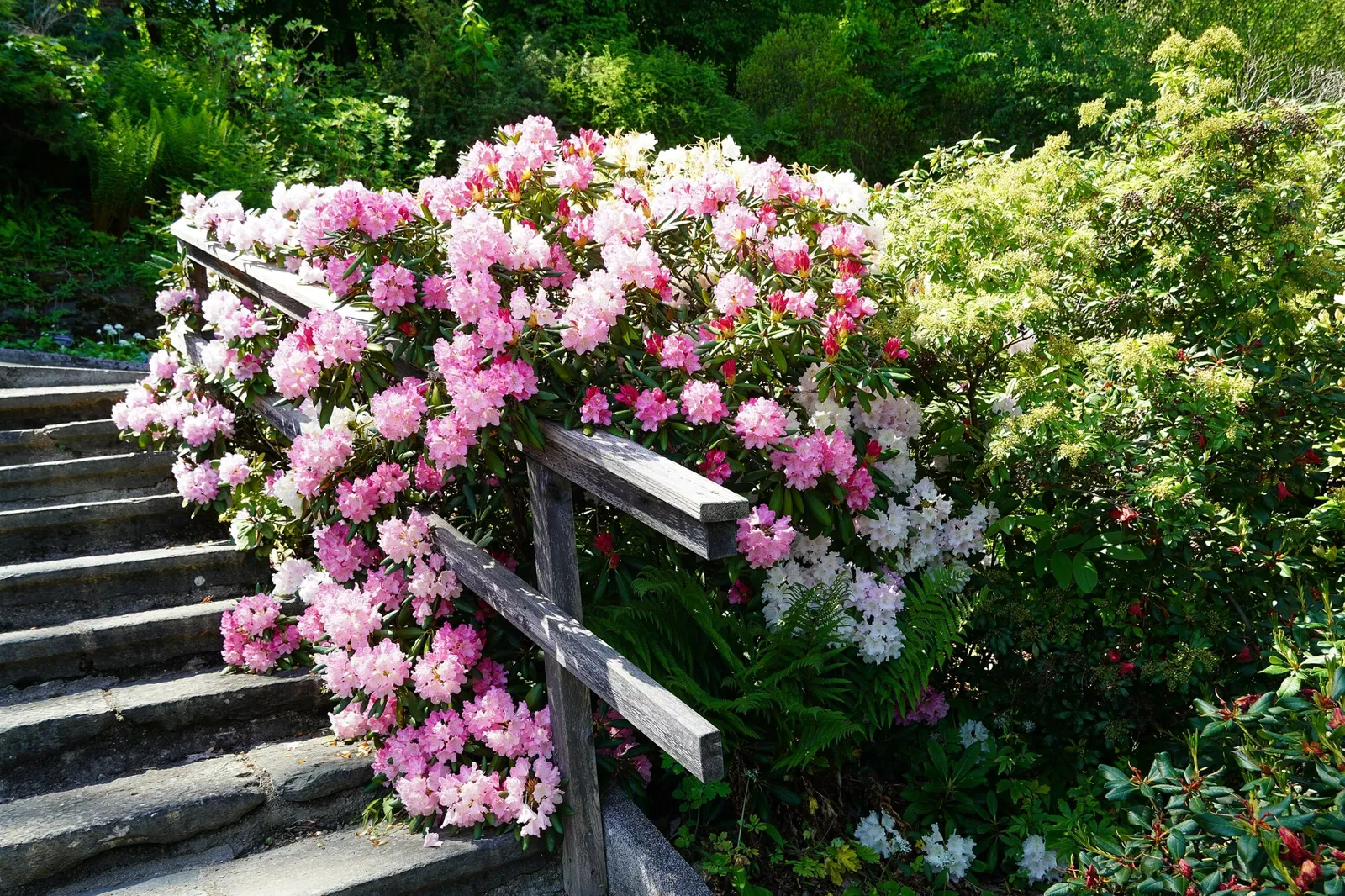 Klagenfurt Botanical Garden