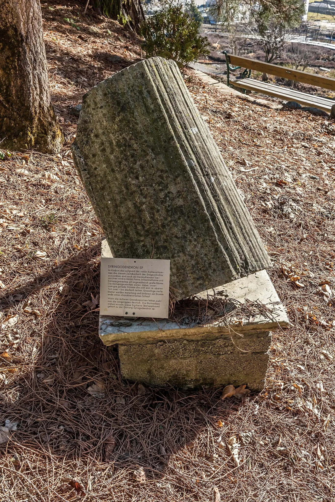 Centro botanico della Carinzia