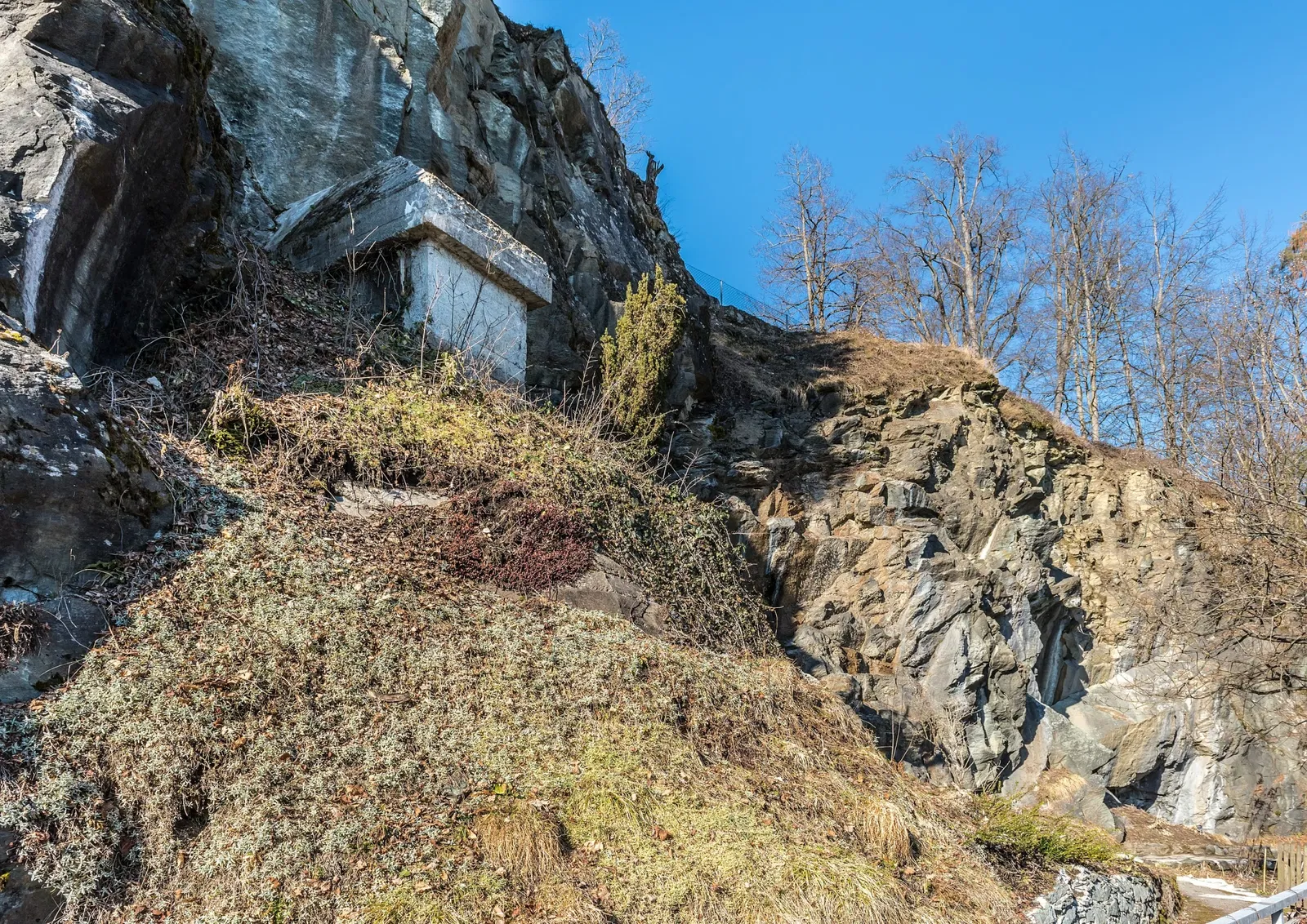 Klagenfurt Botanical Garden