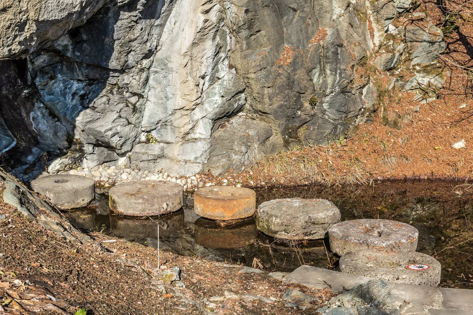 Klagenfurt Botanical Garden