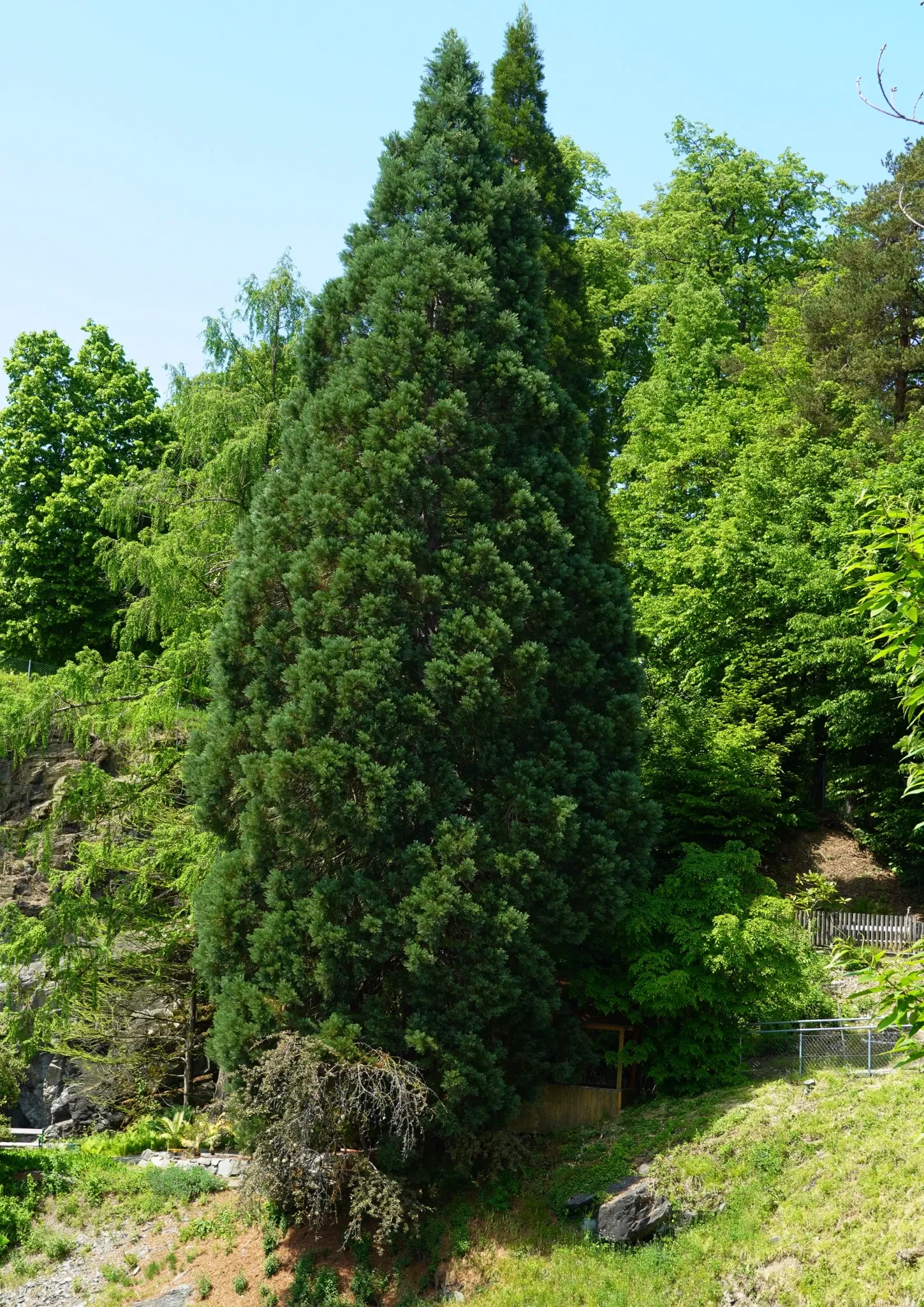 Klagenfurt Botanical Garden
