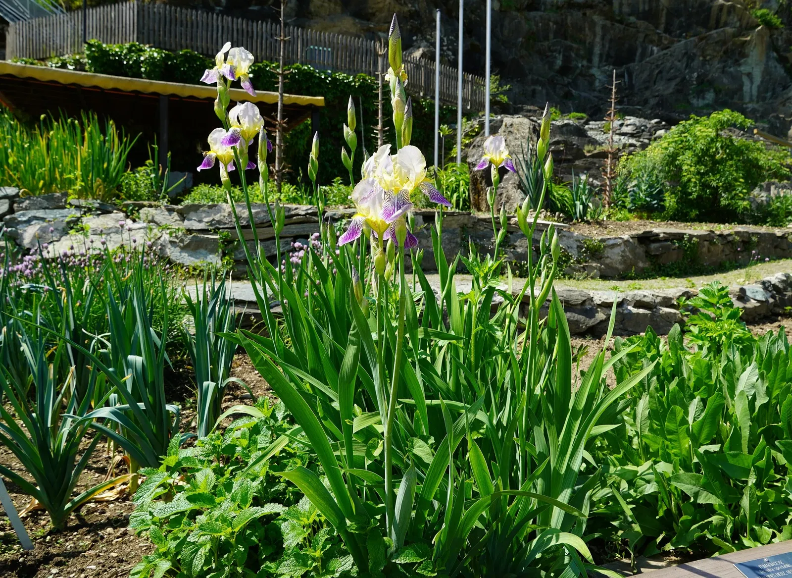 Centro botanico della Carinzia