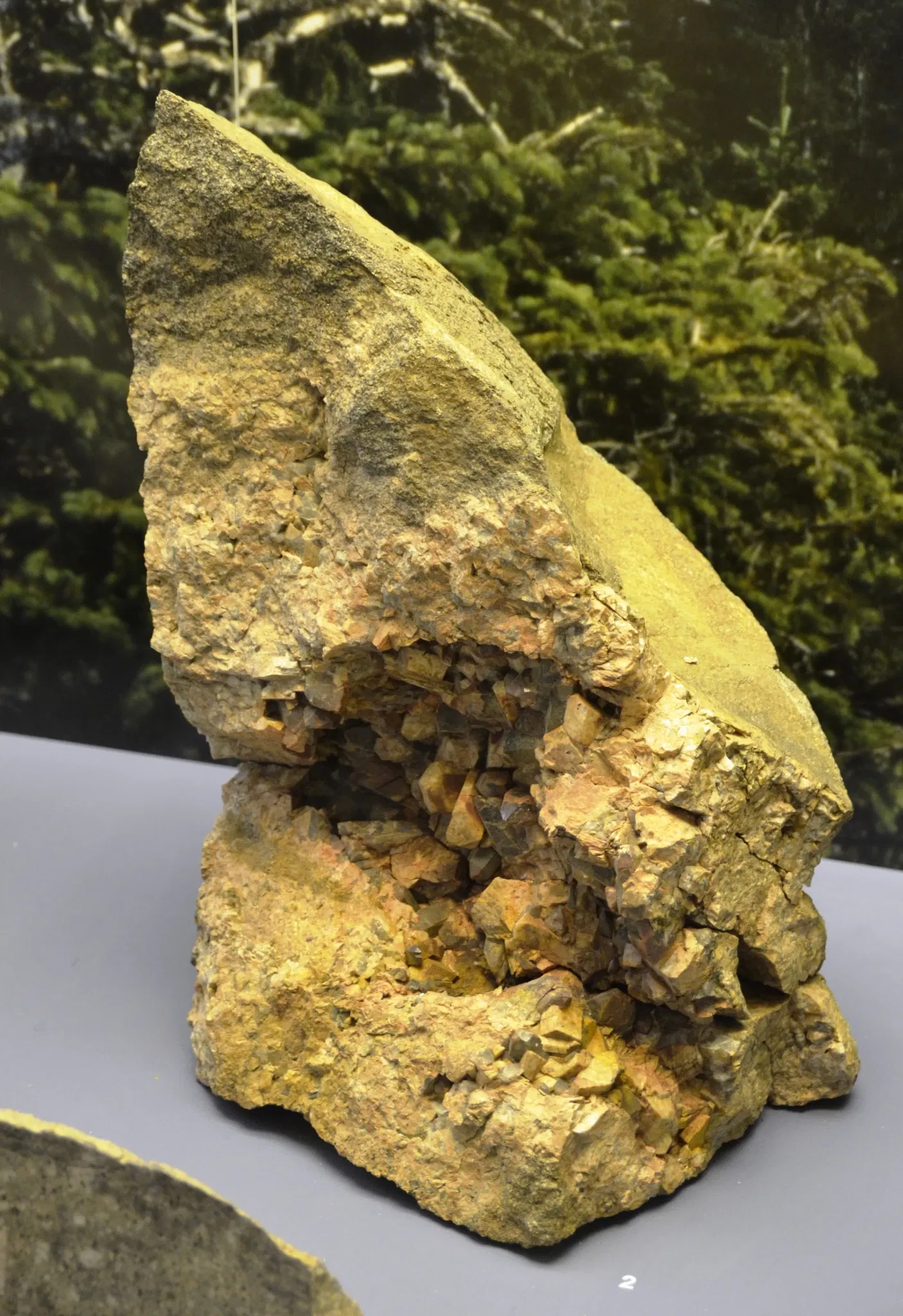 Naturkundemuseum Ostbayern