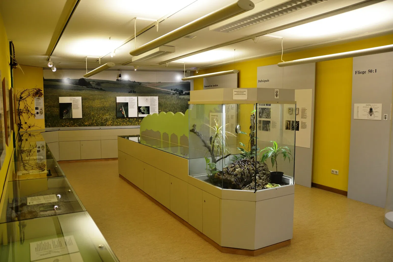 Naturkundemuseum Ostbayern