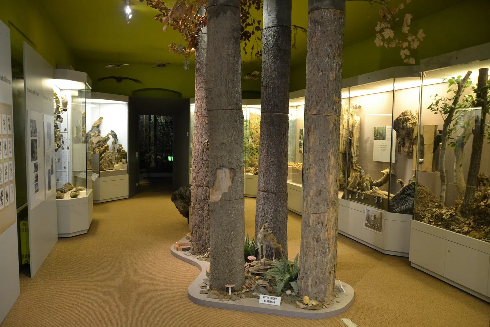 Naturkundemuseum Ostbayern