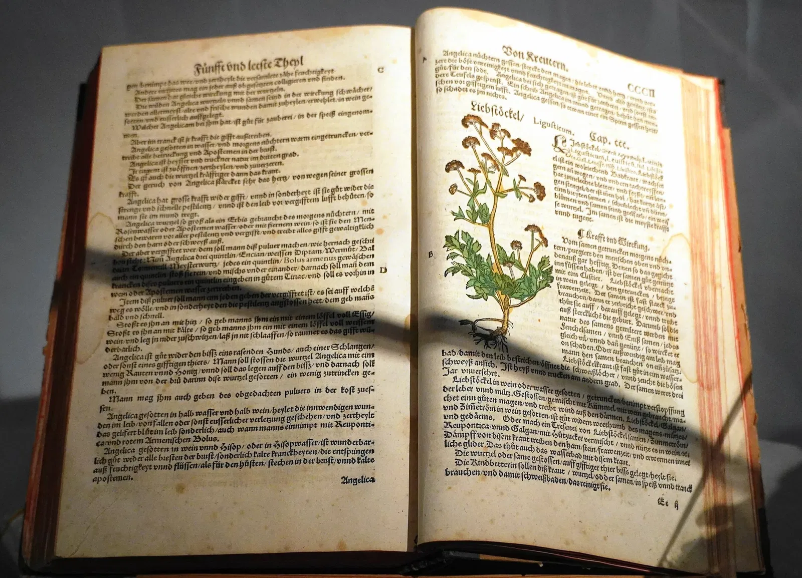 Stadsmuseum (Villach)