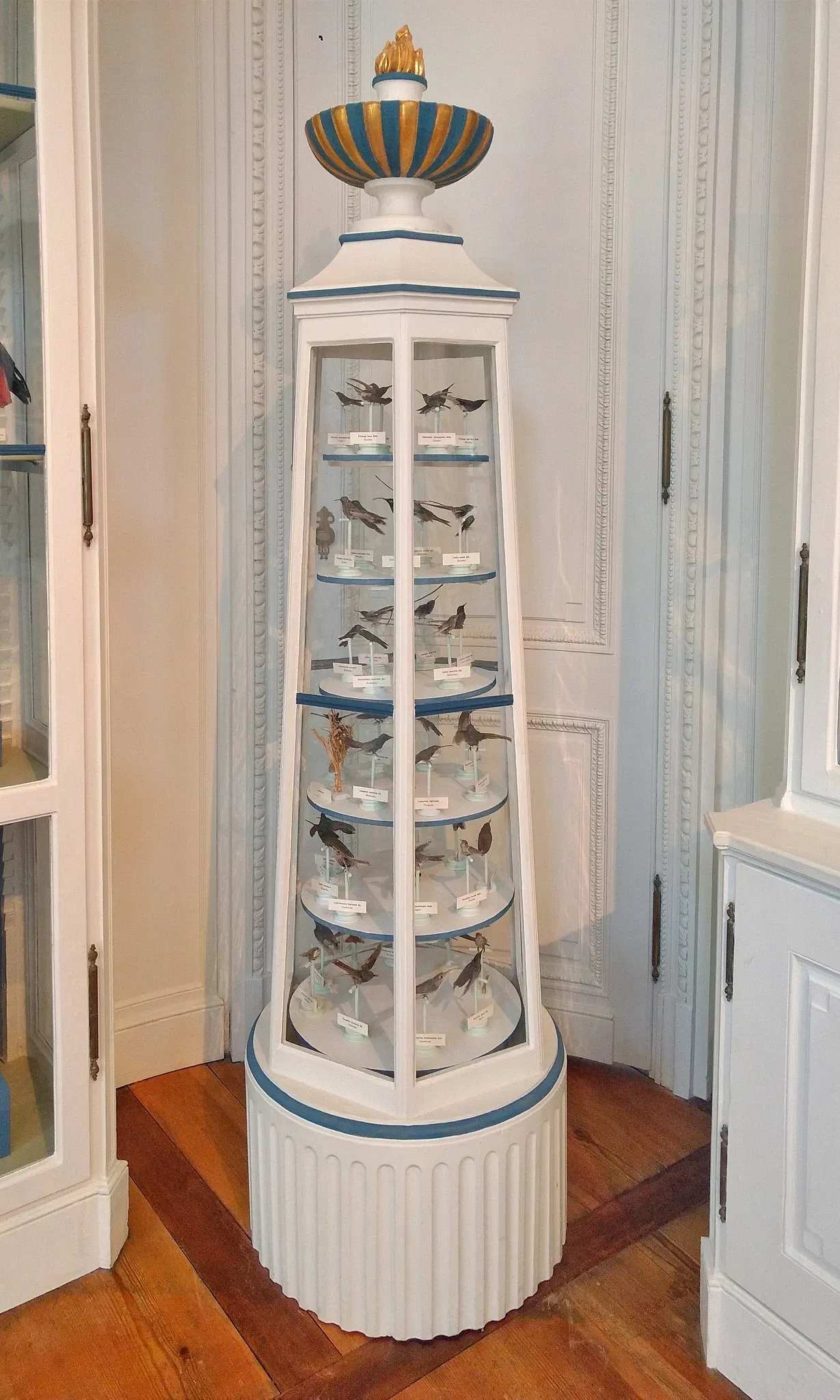 Natural History Museum