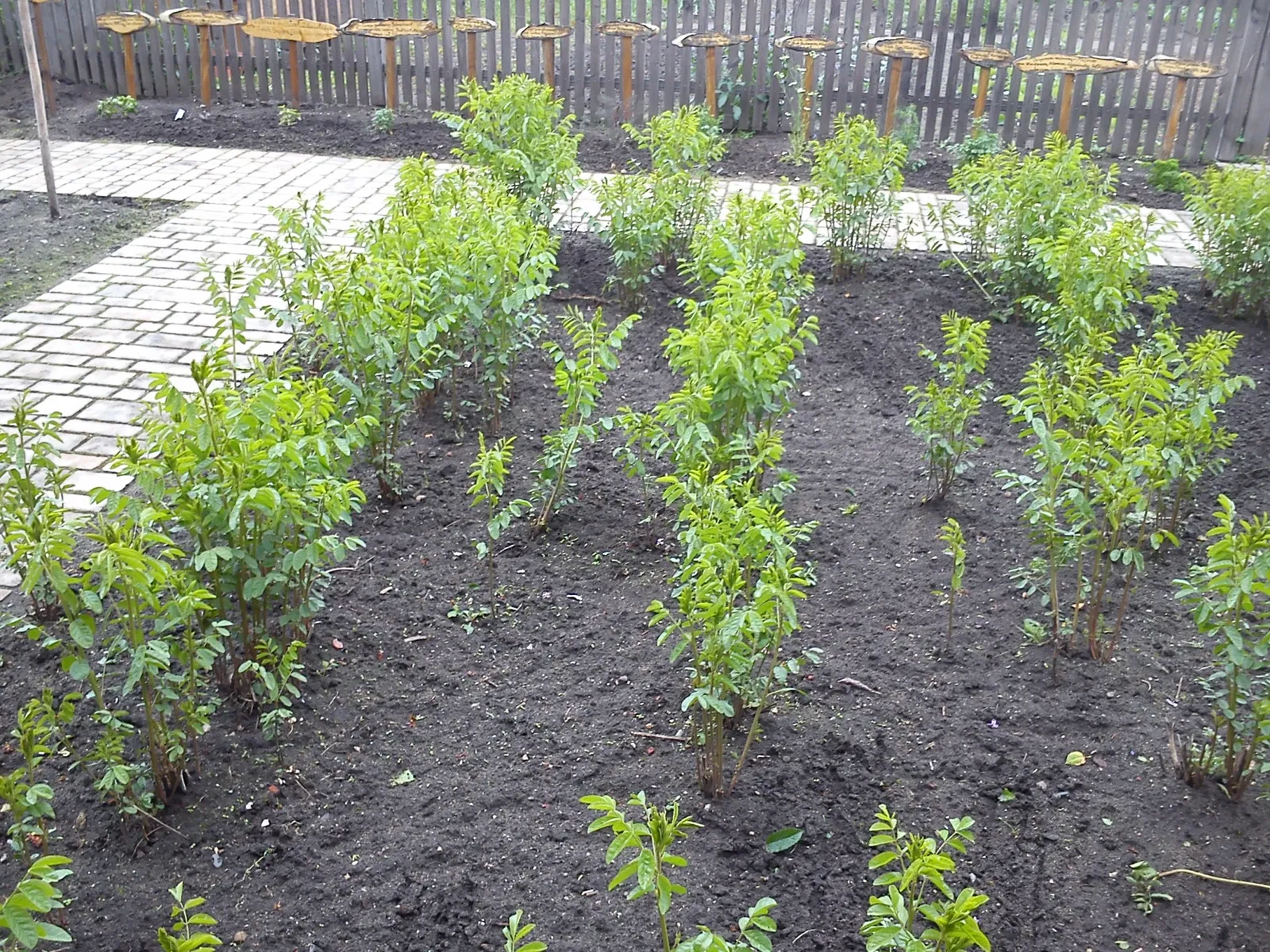 Gärtner- und Häckermuseum