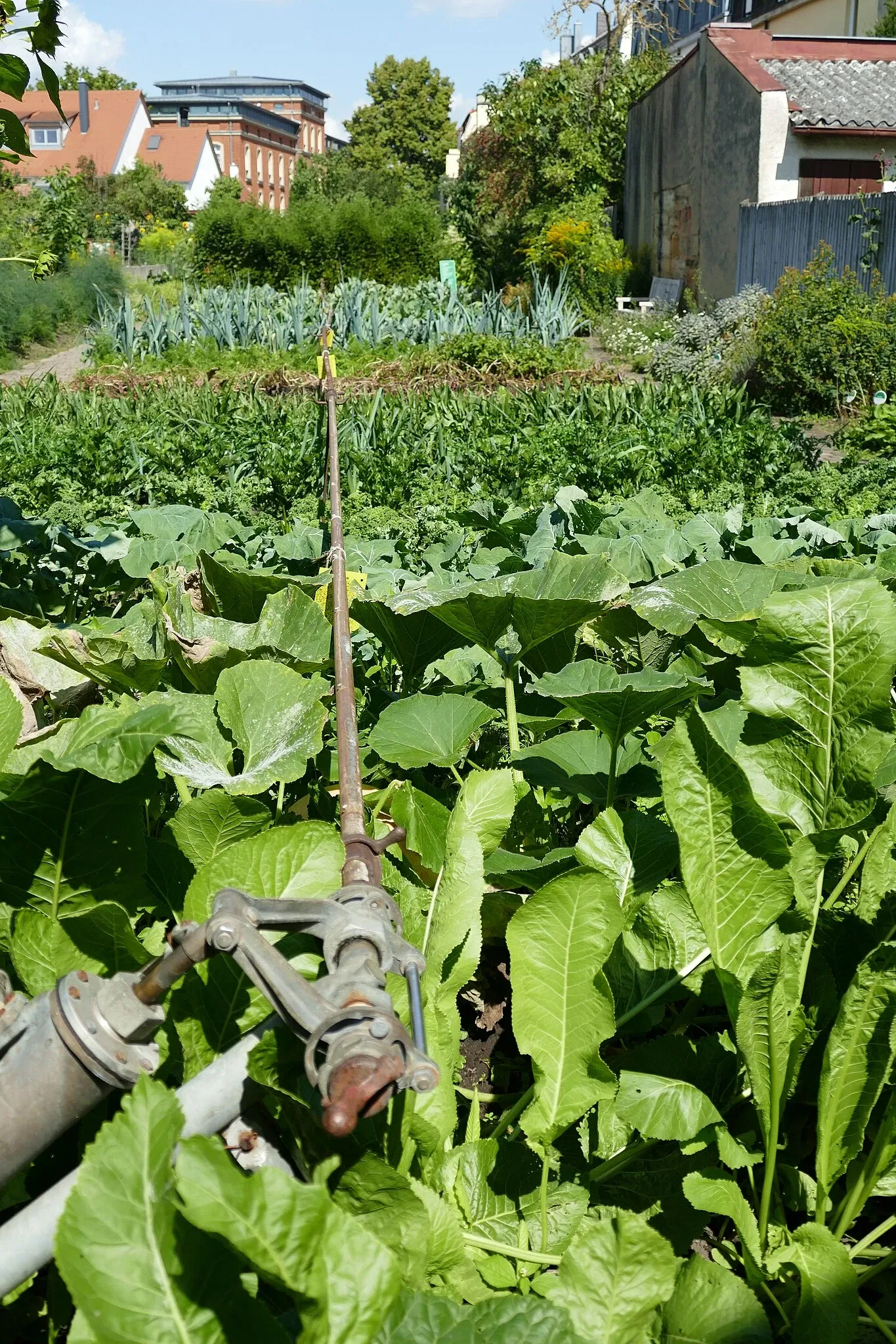 Gärtner- und Häckermuseum