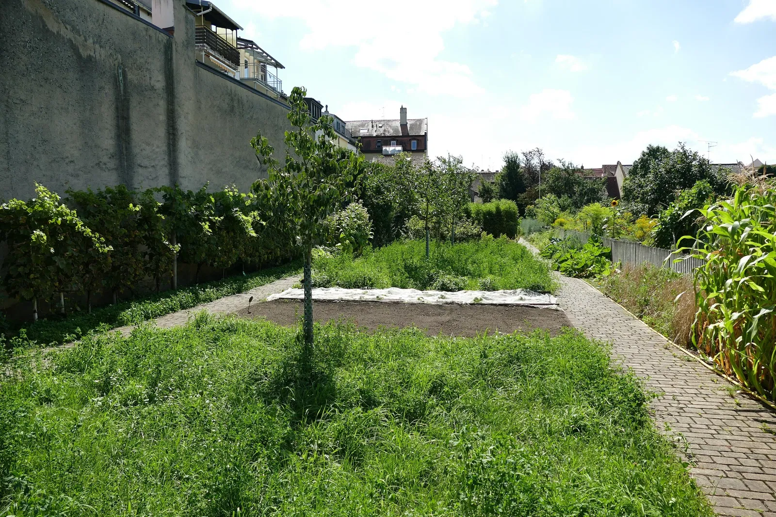 Gärtner- und Häckermuseum