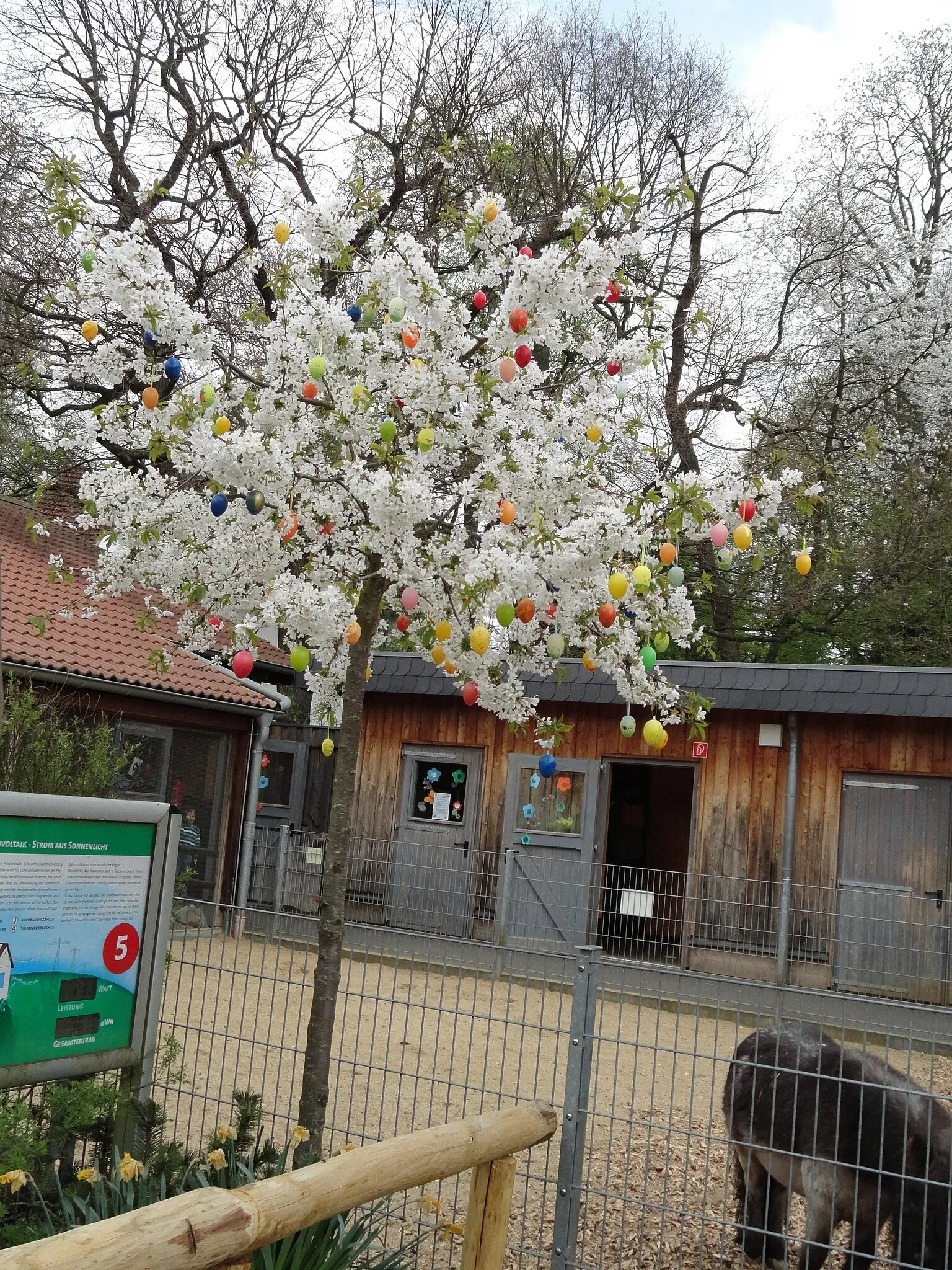 Aachener Tierpark Euregiozoo
