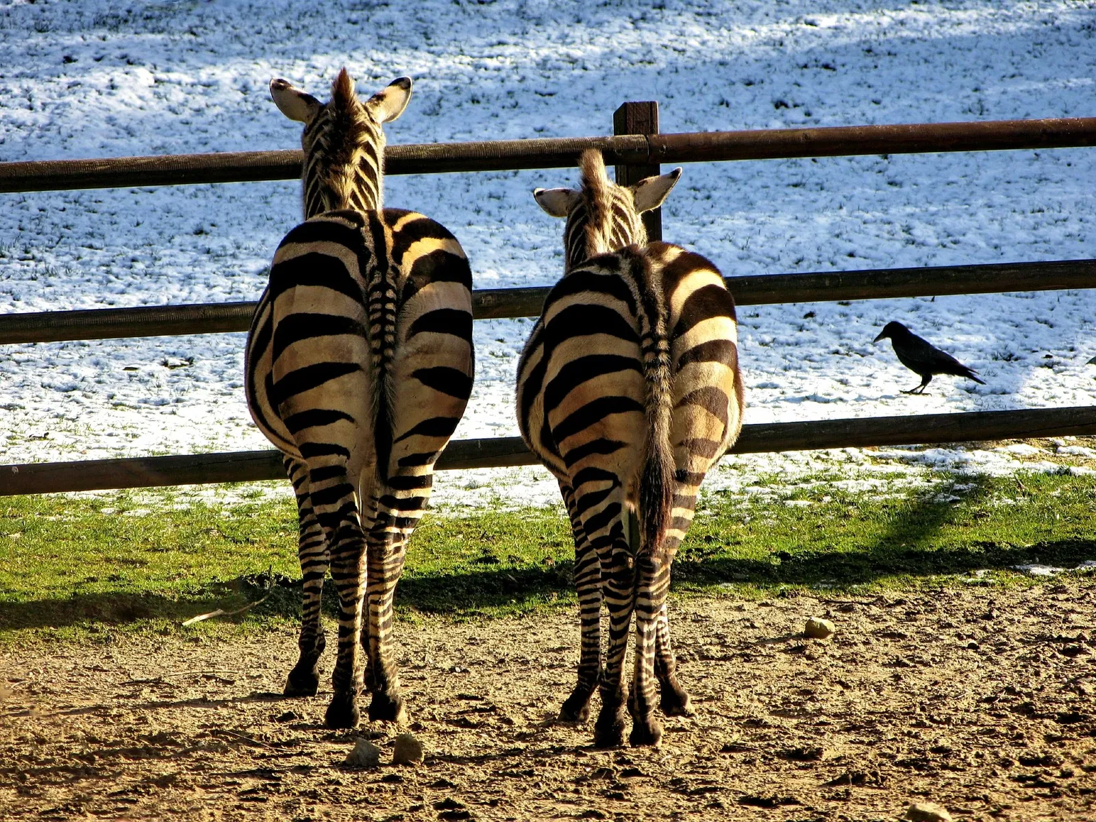 Aachener Tierpark Euregiozoo