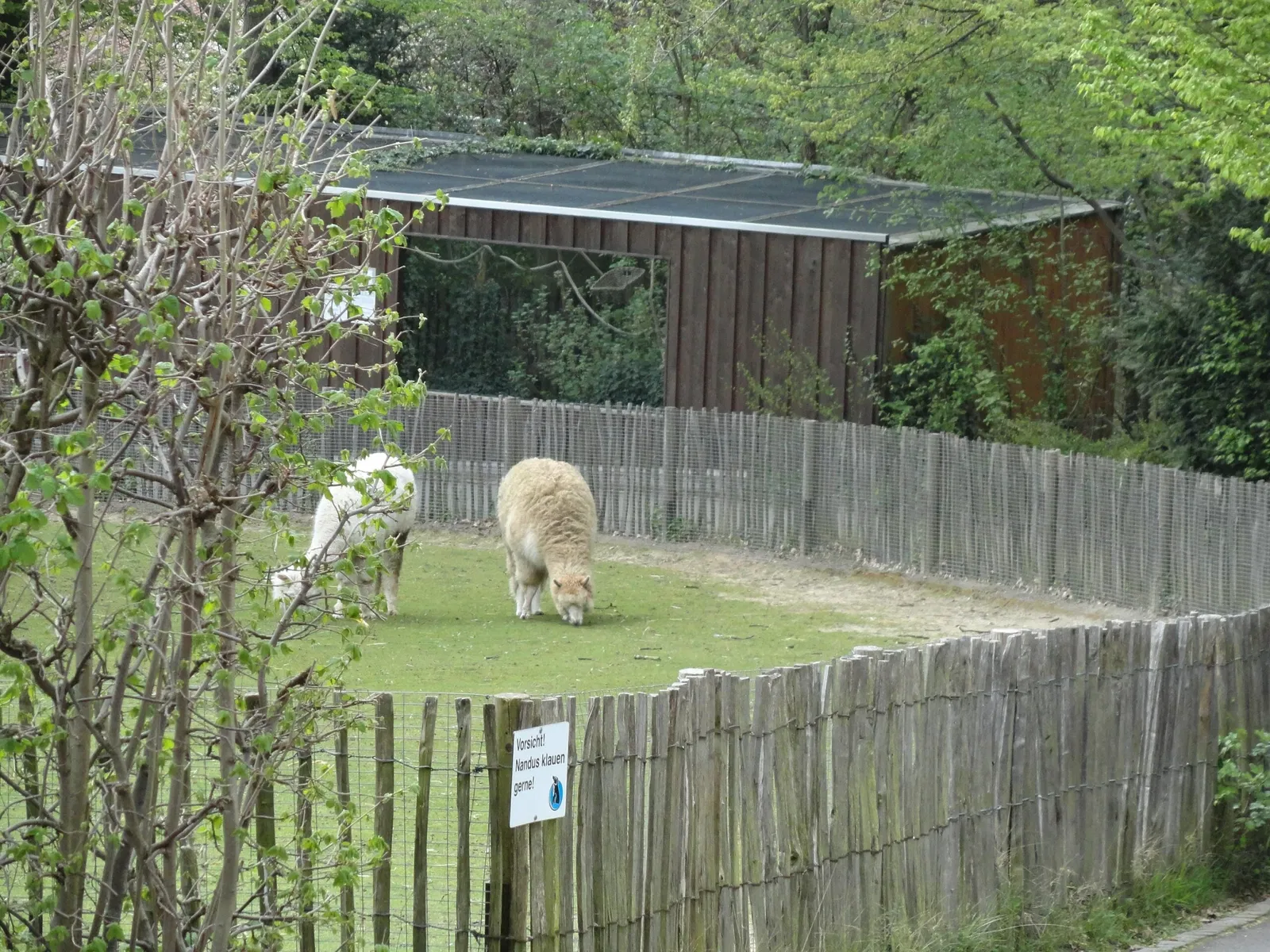 Aachener Tierpark Euregiozoo