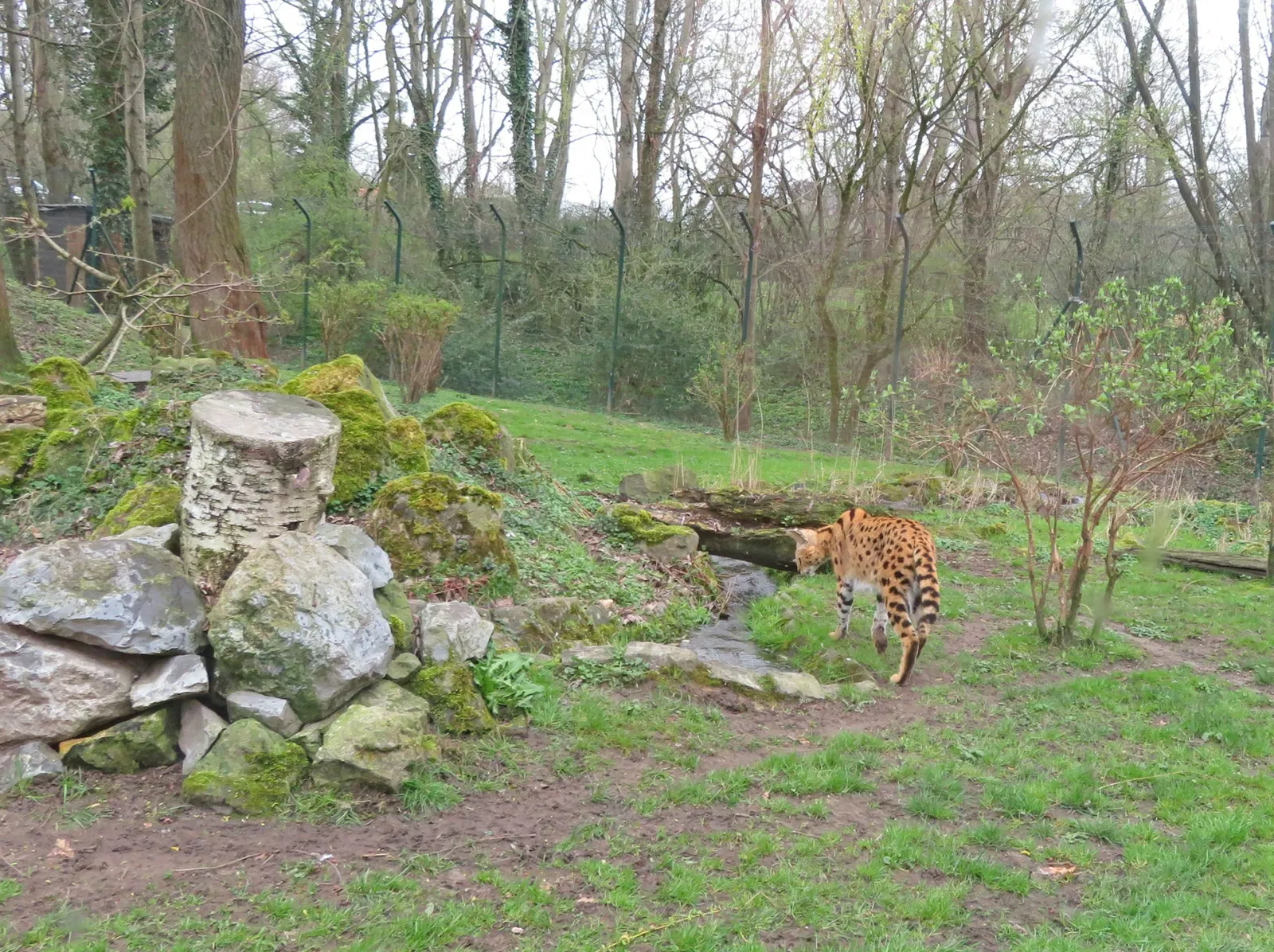 Aachener Tierpark