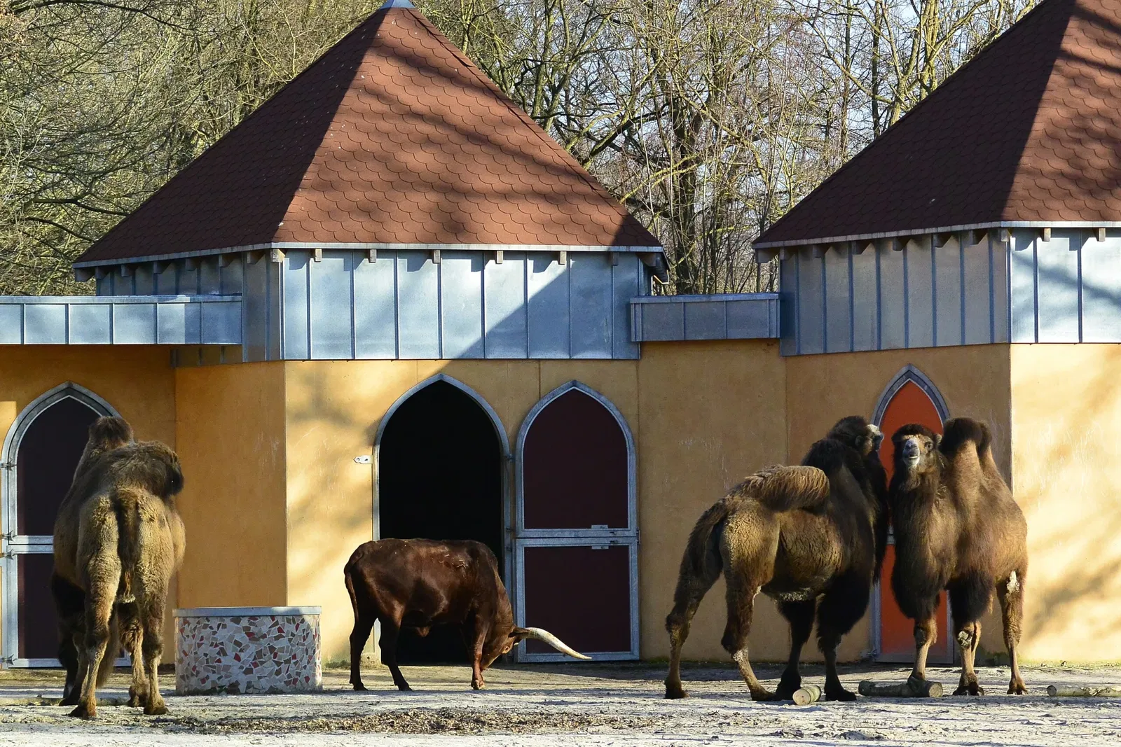 Aachener Tierpark Euregiozoo