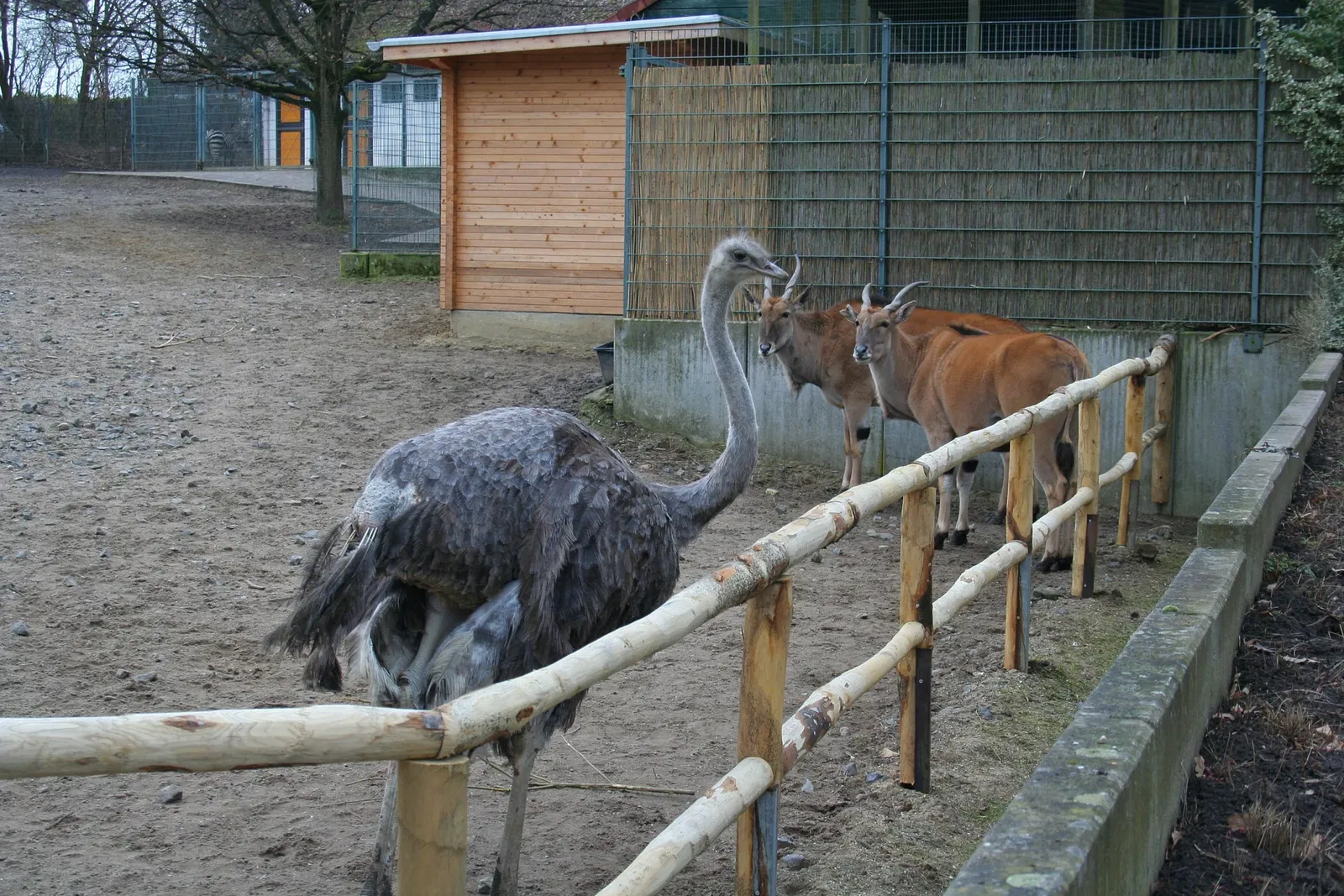 Aachener Tierpark
