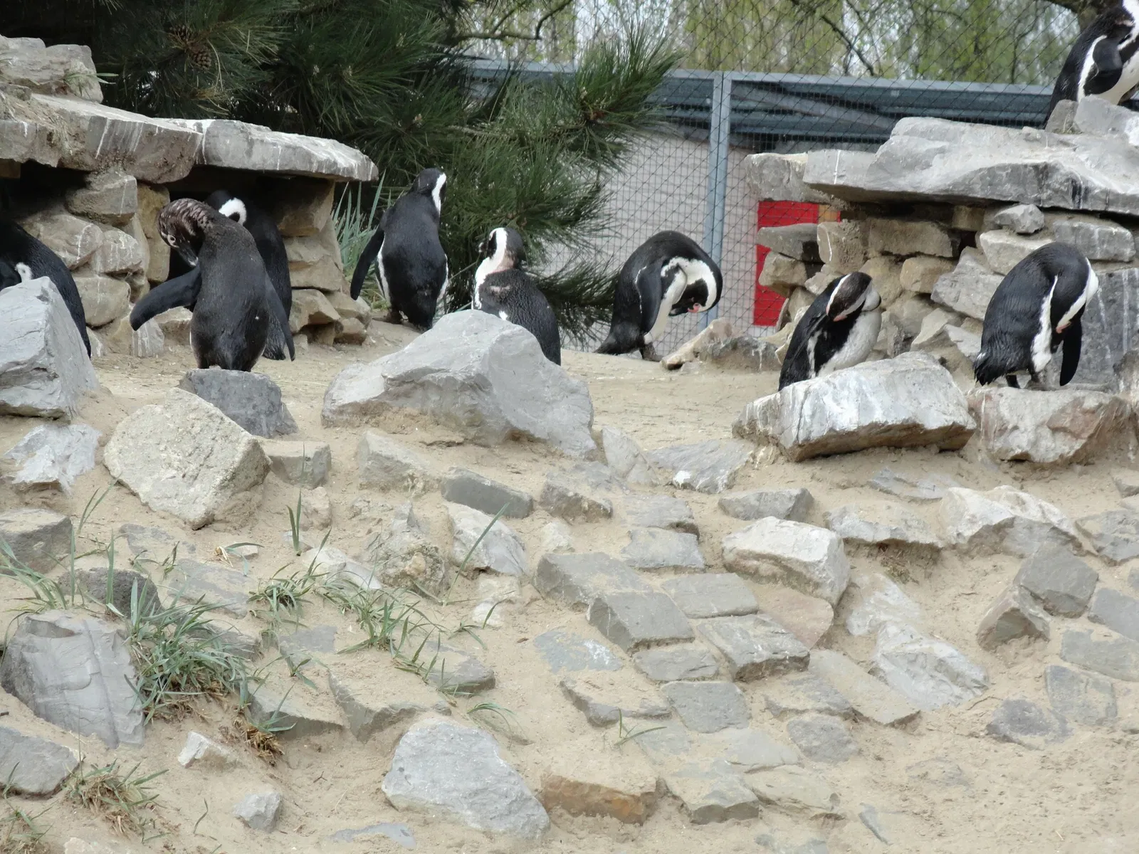 Aachener Tierpark Euregiozoo