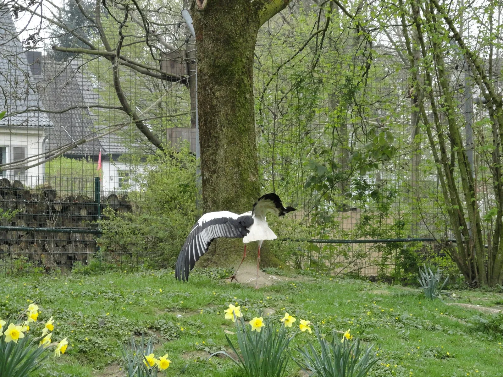 Aachener Tierpark Euregiozoo
