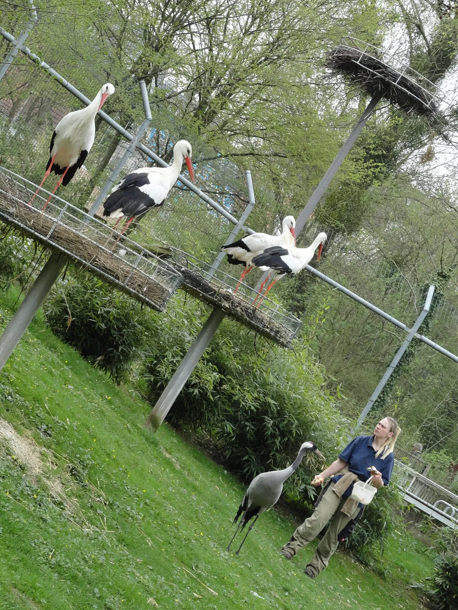 Aachener Tierpark Euregiozoo