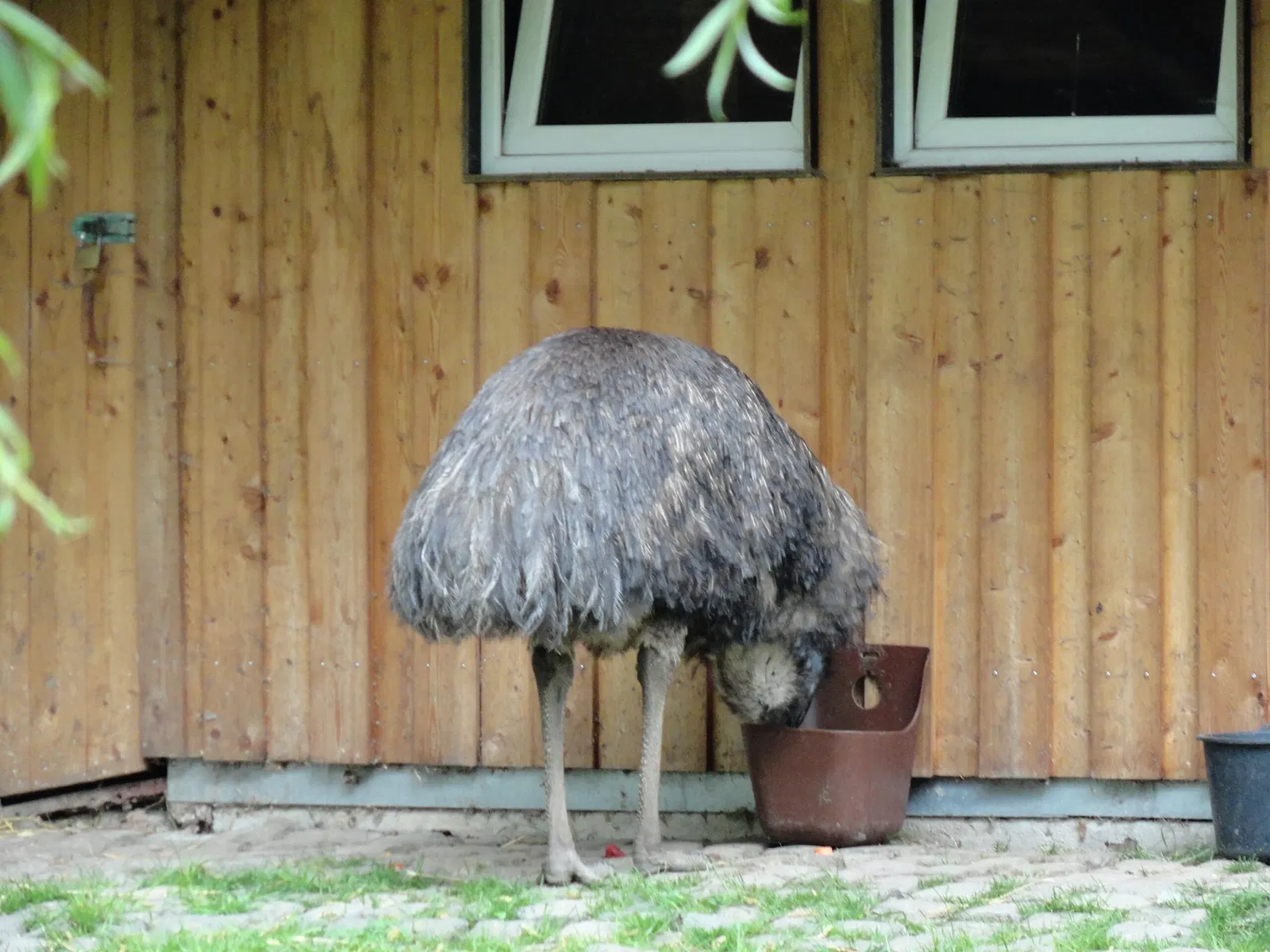 Aachener Tierpark Euregiozoo