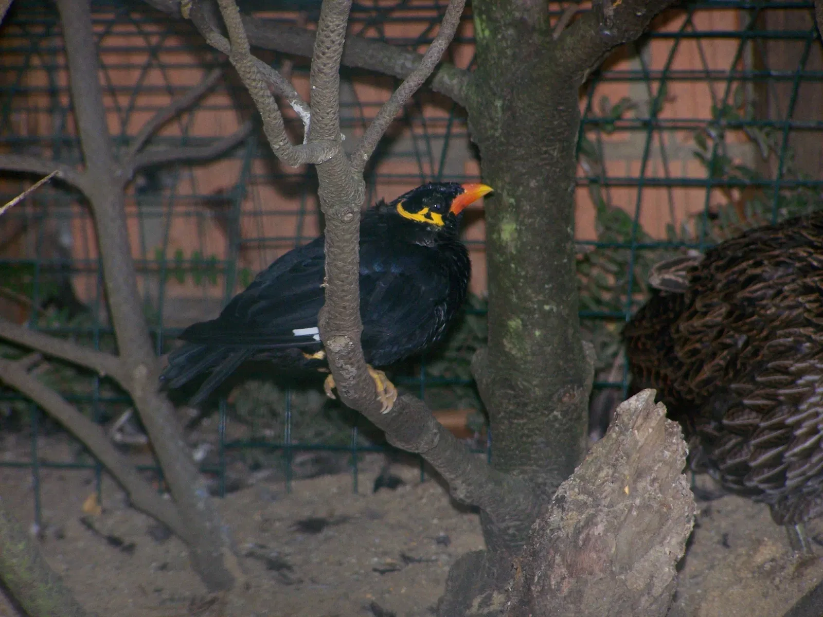 Aachener Tierpark Euregiozoo