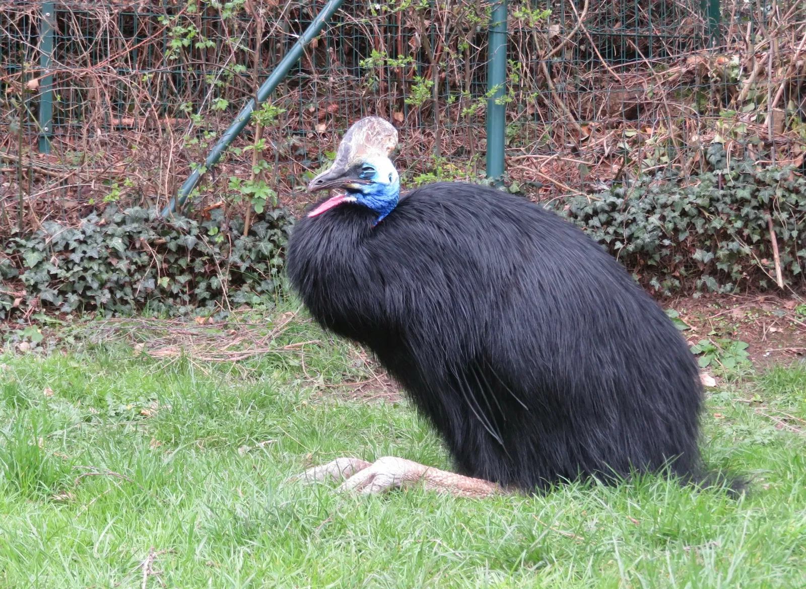 Aachener Tierpark