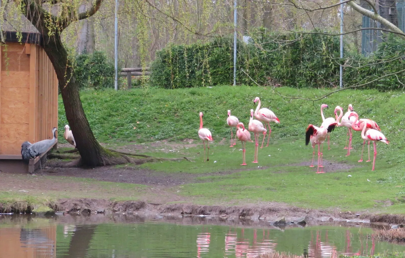 Aachener Tierpark Euregiozoo