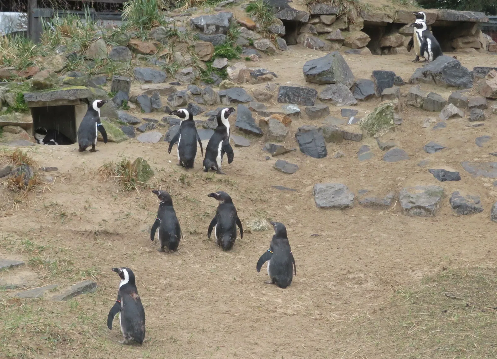 Aachener Tierpark Euregiozoo