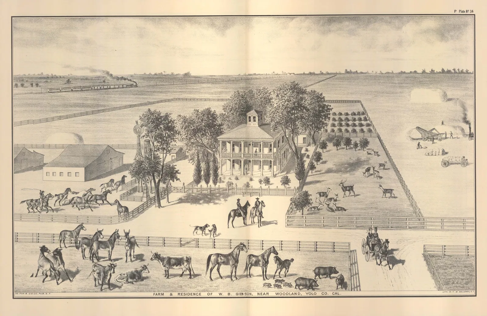 The Gibson House and Property