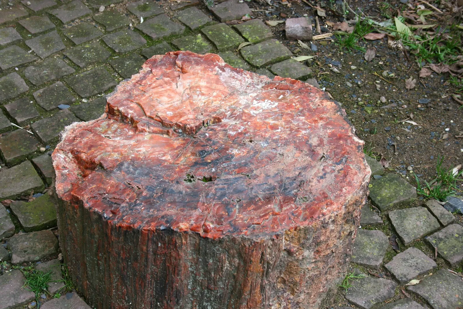 Mineralogical Museum