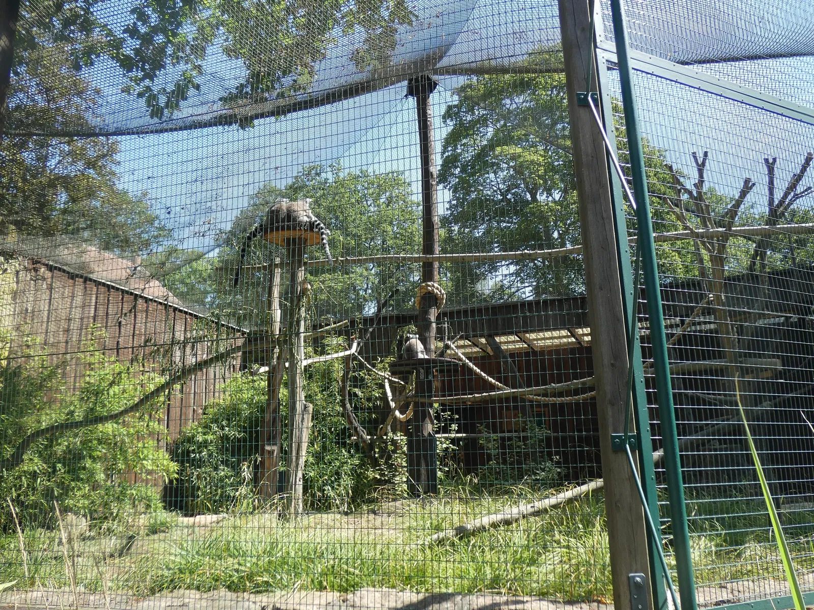 Tierpark Dessau