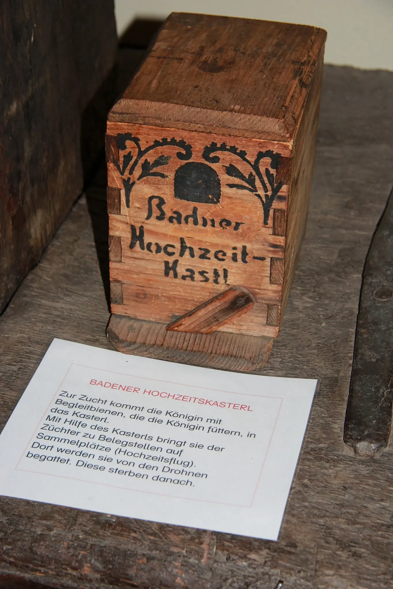 Kaiser Franz Josef Museum