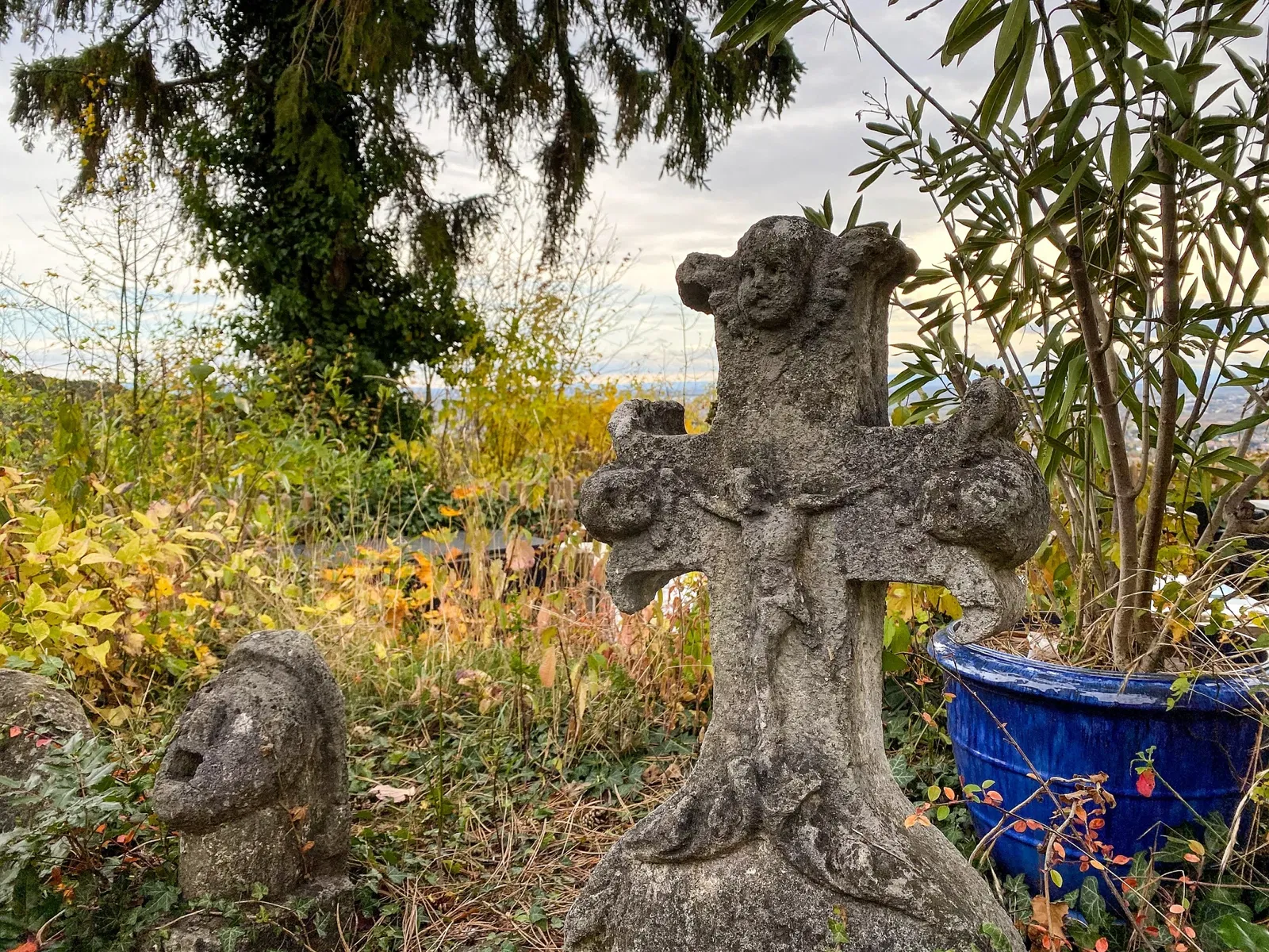 Kaiser Franz Josef Museum