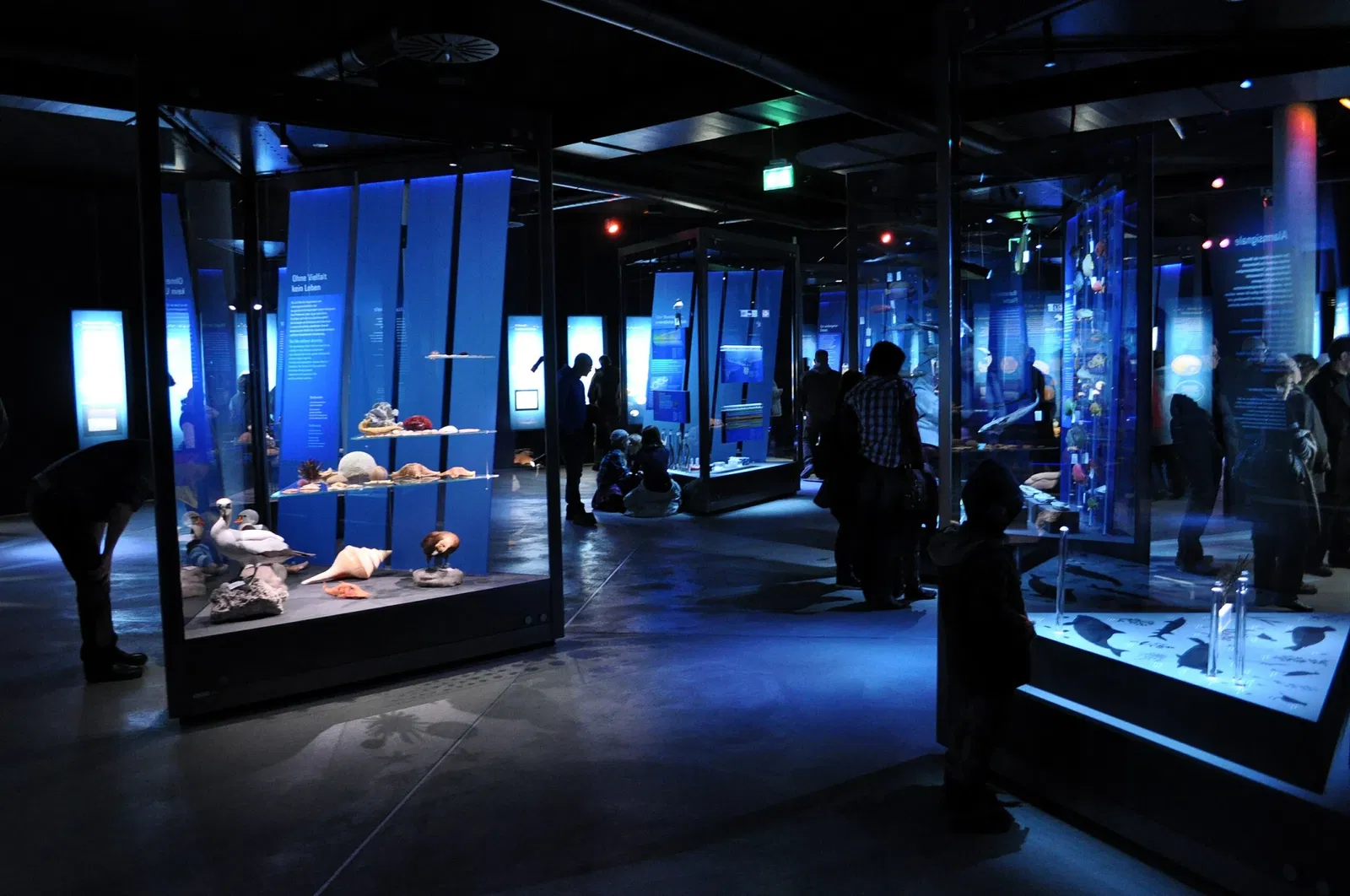 Ozeaneum