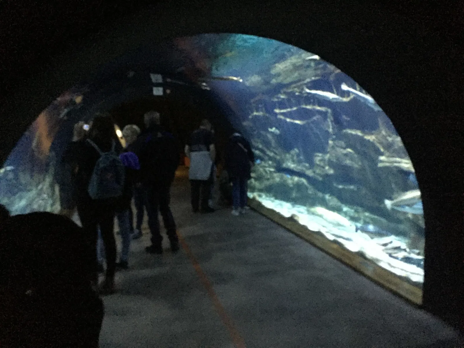 Ozeaneum