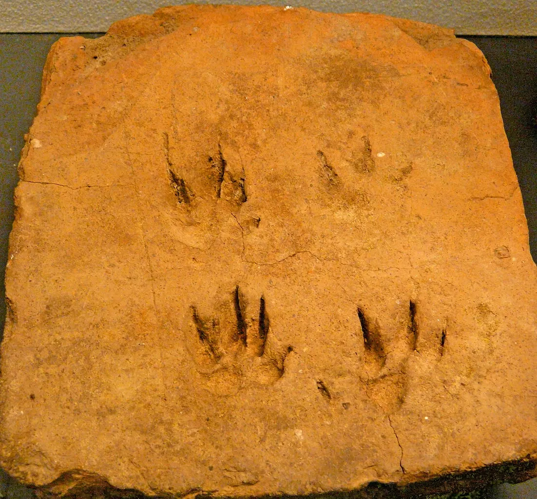 Clemens Sels Museum Neuss