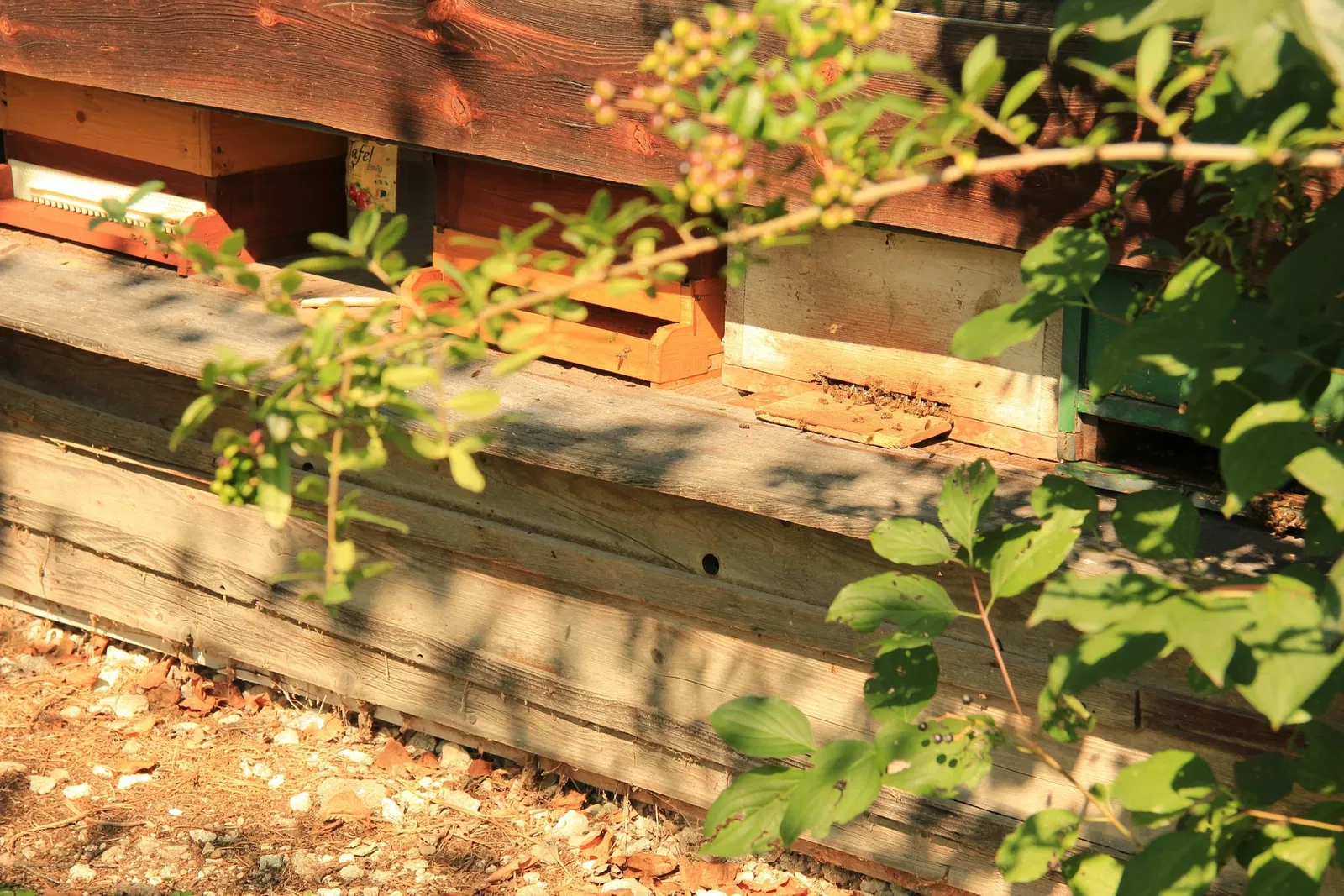 Museumsdorf Niedersulz