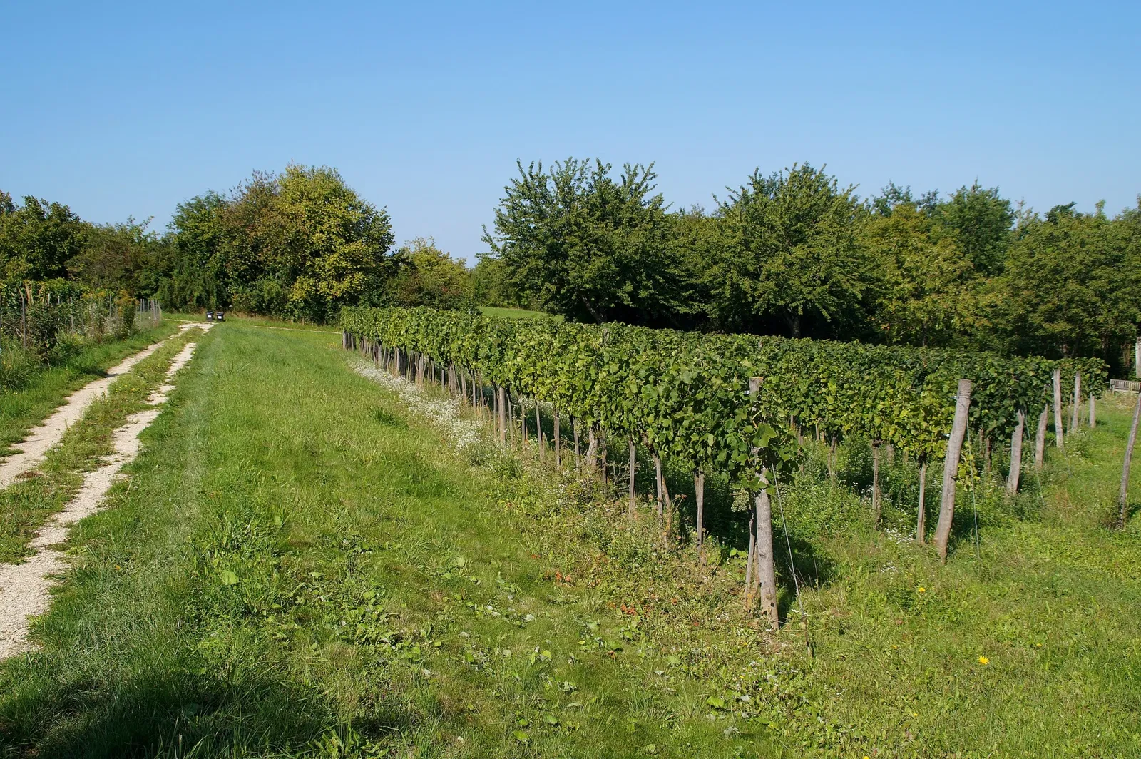 Museumsdorf Niedersulz