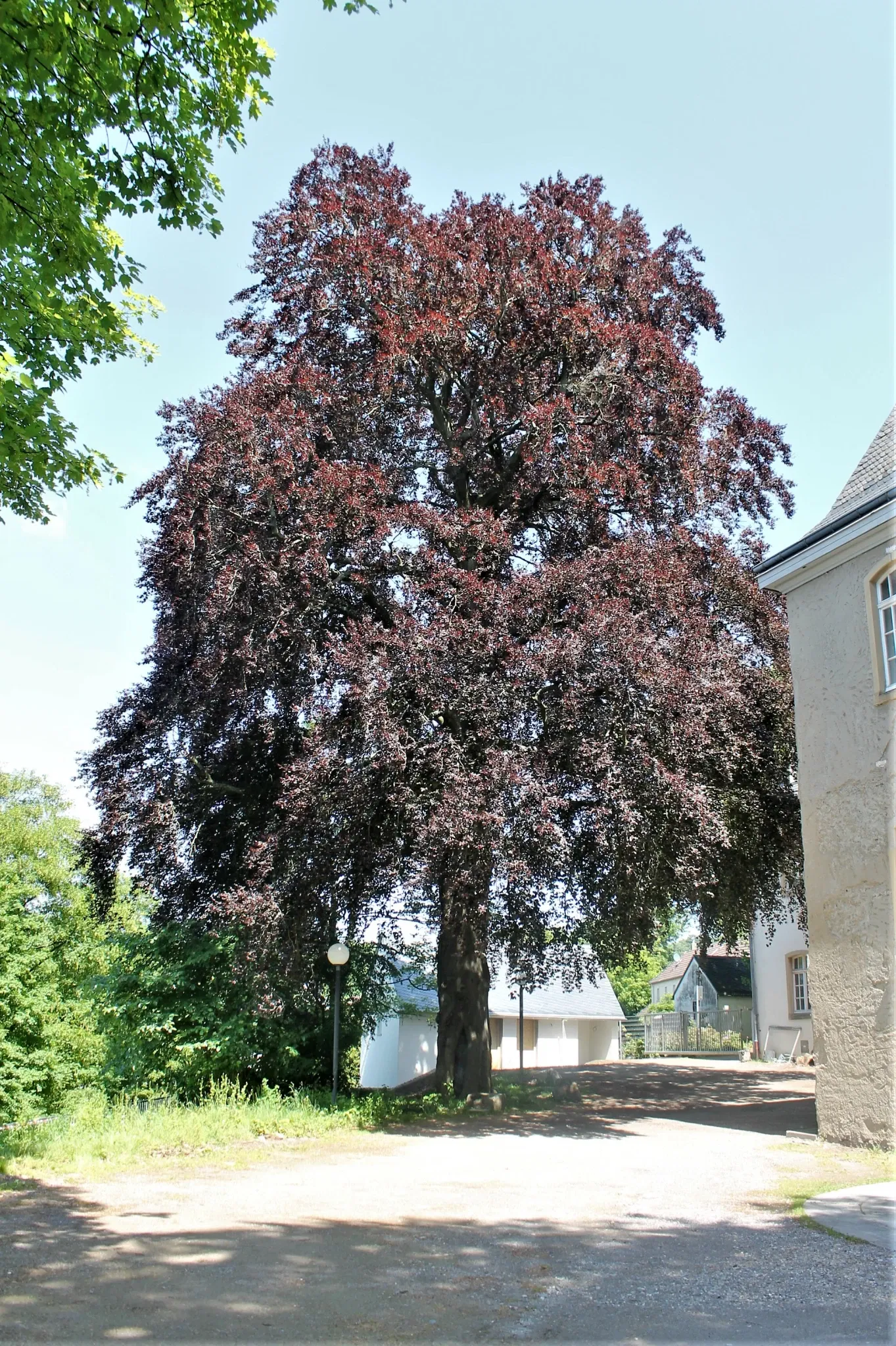 Deutsches Klingenmuseum