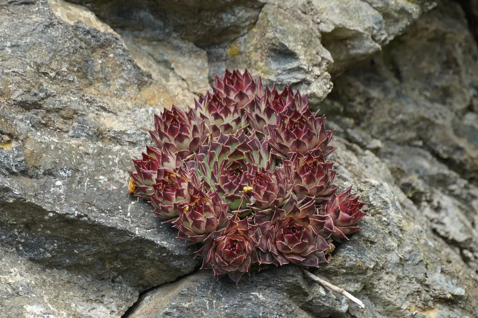 Granatium Radenthein