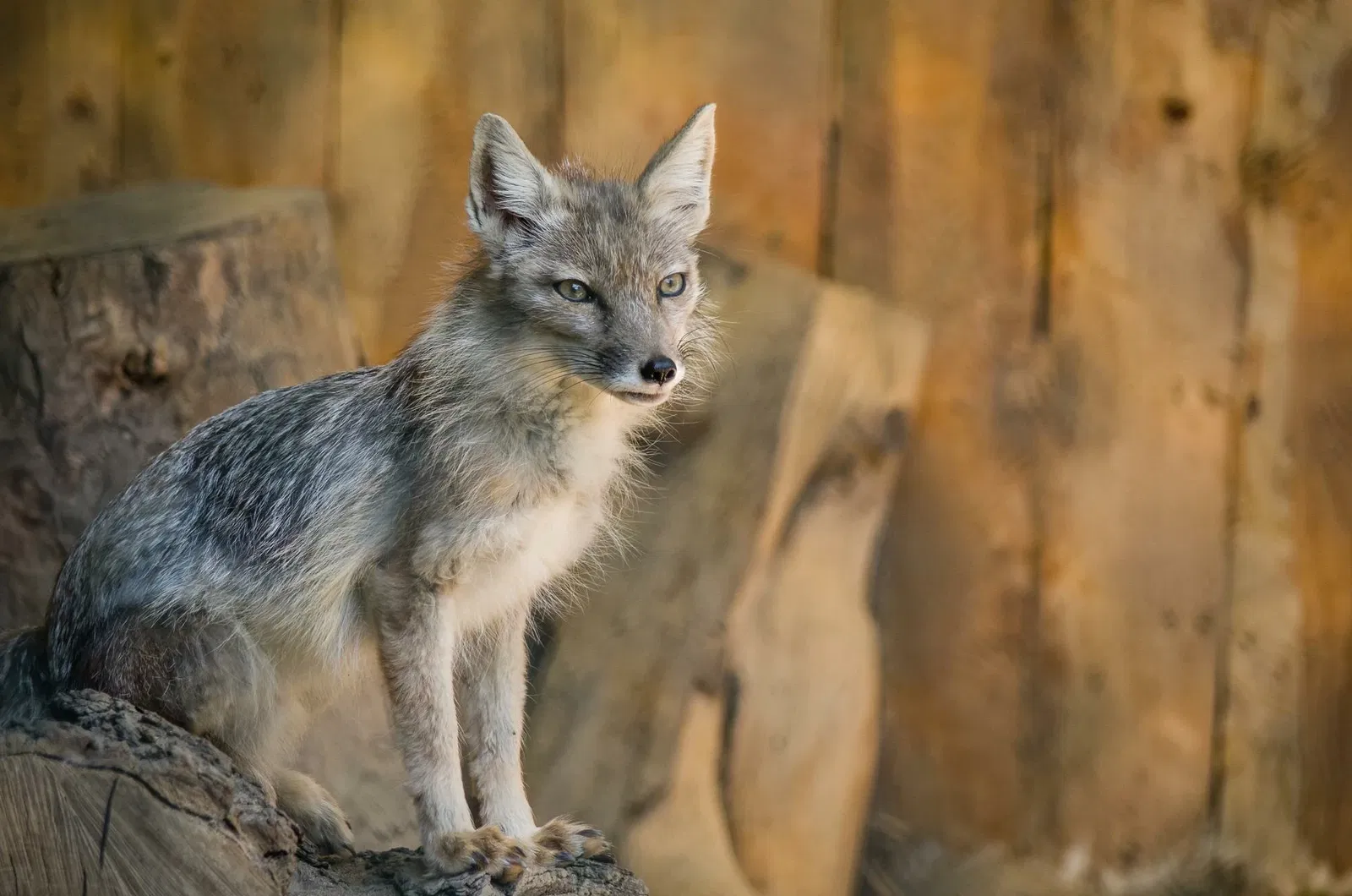 Tierpark Recklinghausen
